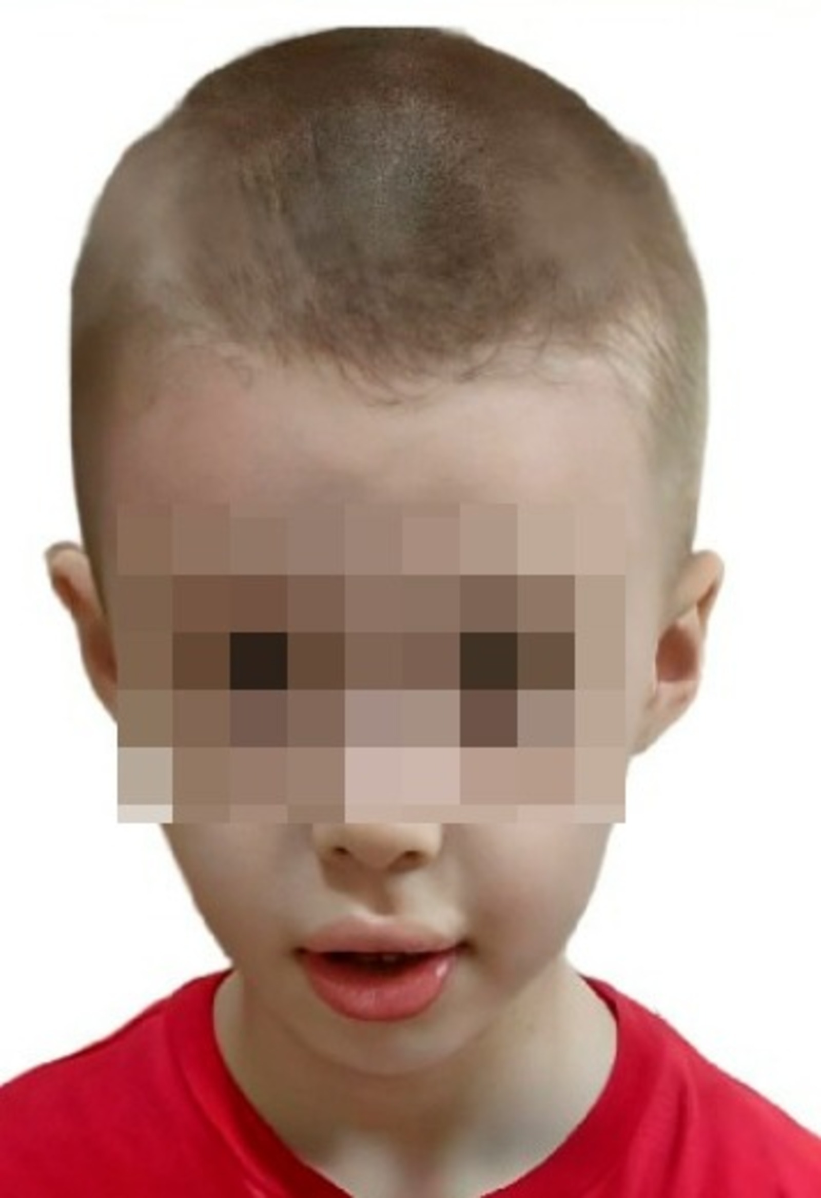 Фото: "Лиза Алерт"