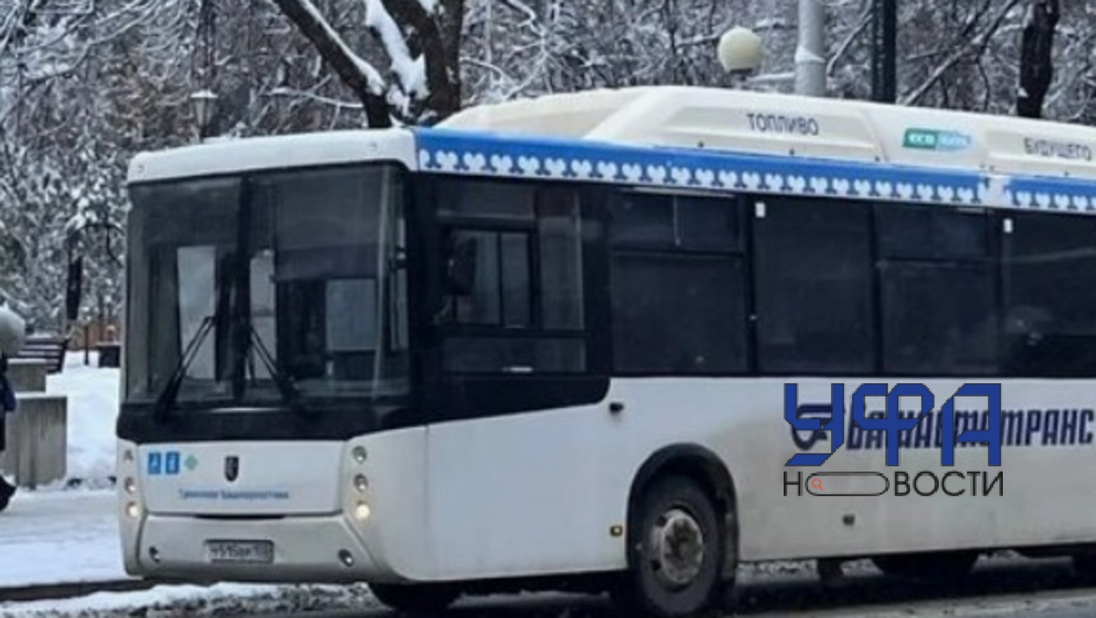 Архив Башинформа Архив Башинформа В новогодние каникулы автобусы будут ездить по другому графику