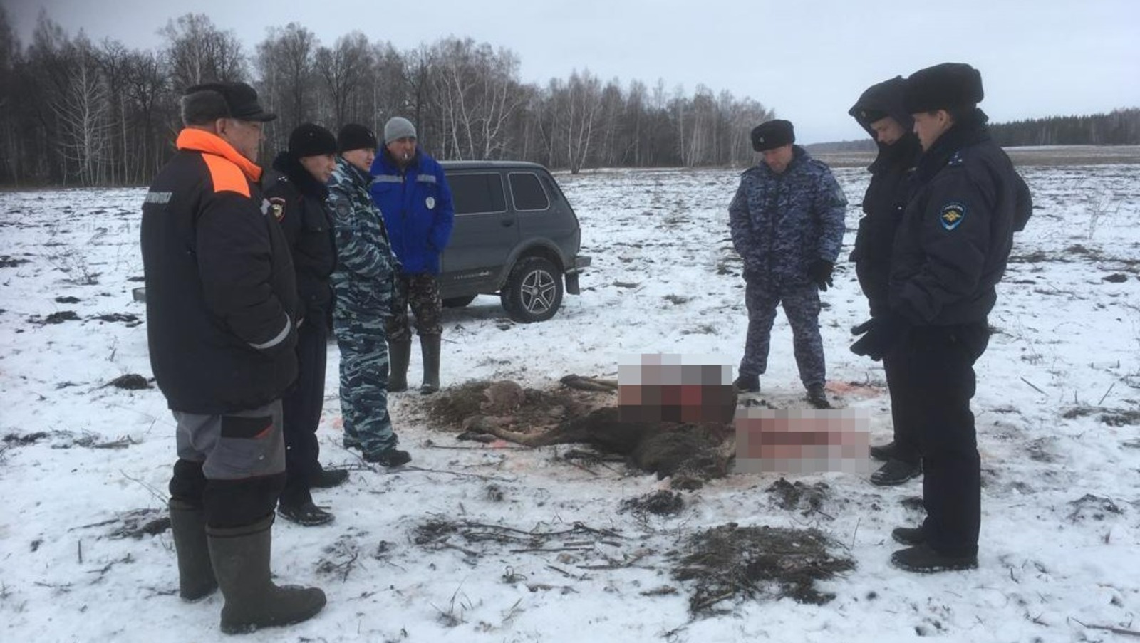 Браконьеры в Башкирии «попали» на 400 тысяч рублей