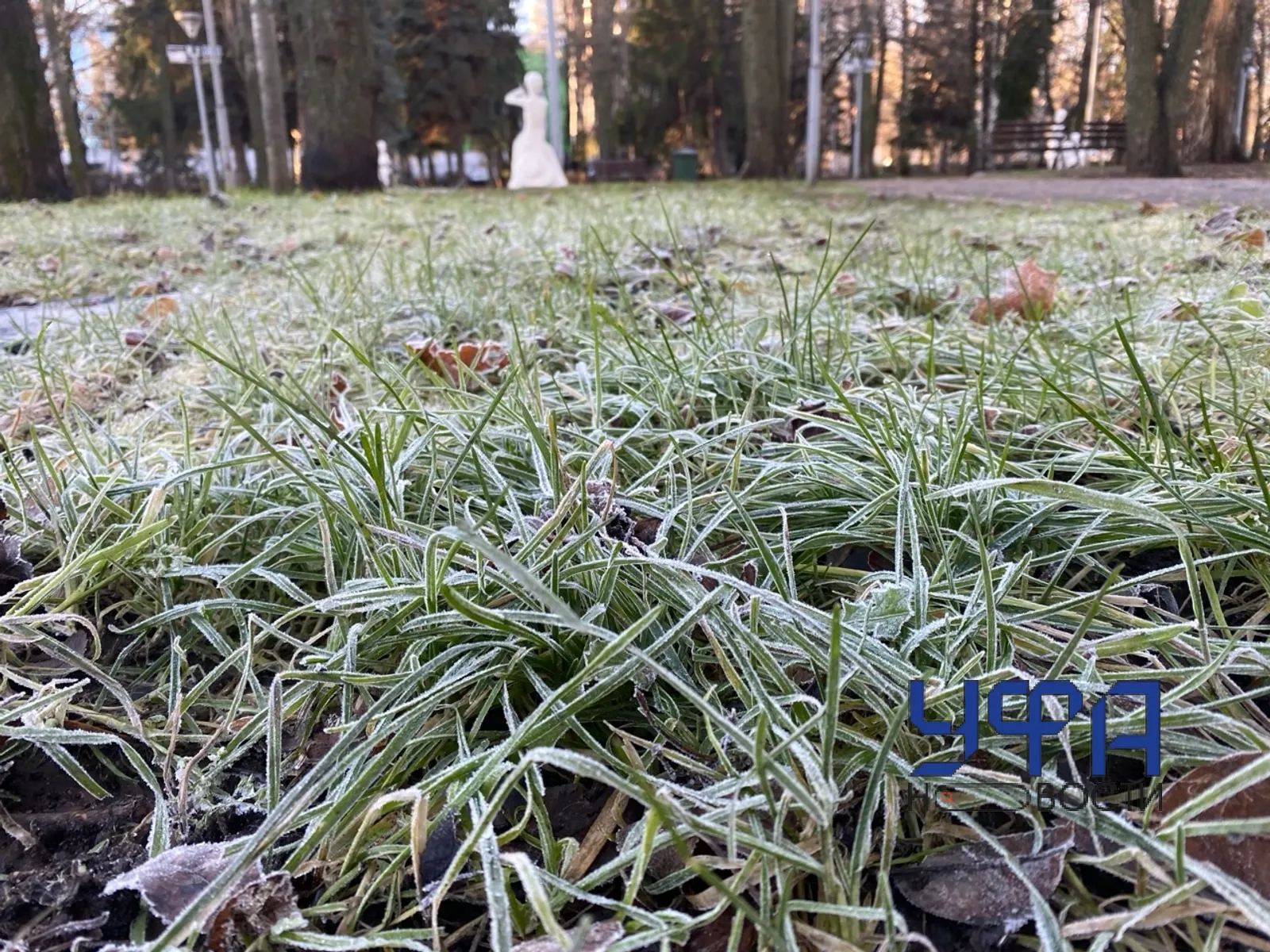 Нина Кареева Фотобанк UfaNovosti.ru Заморозки ожидаются на почве и в воздухе.