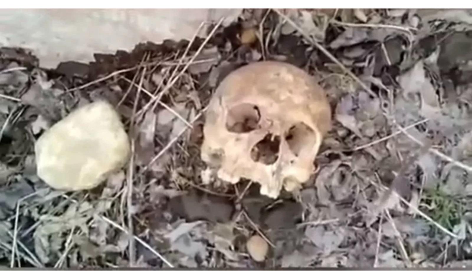  В Салаватском районе Башкирии нашли человеческие останки