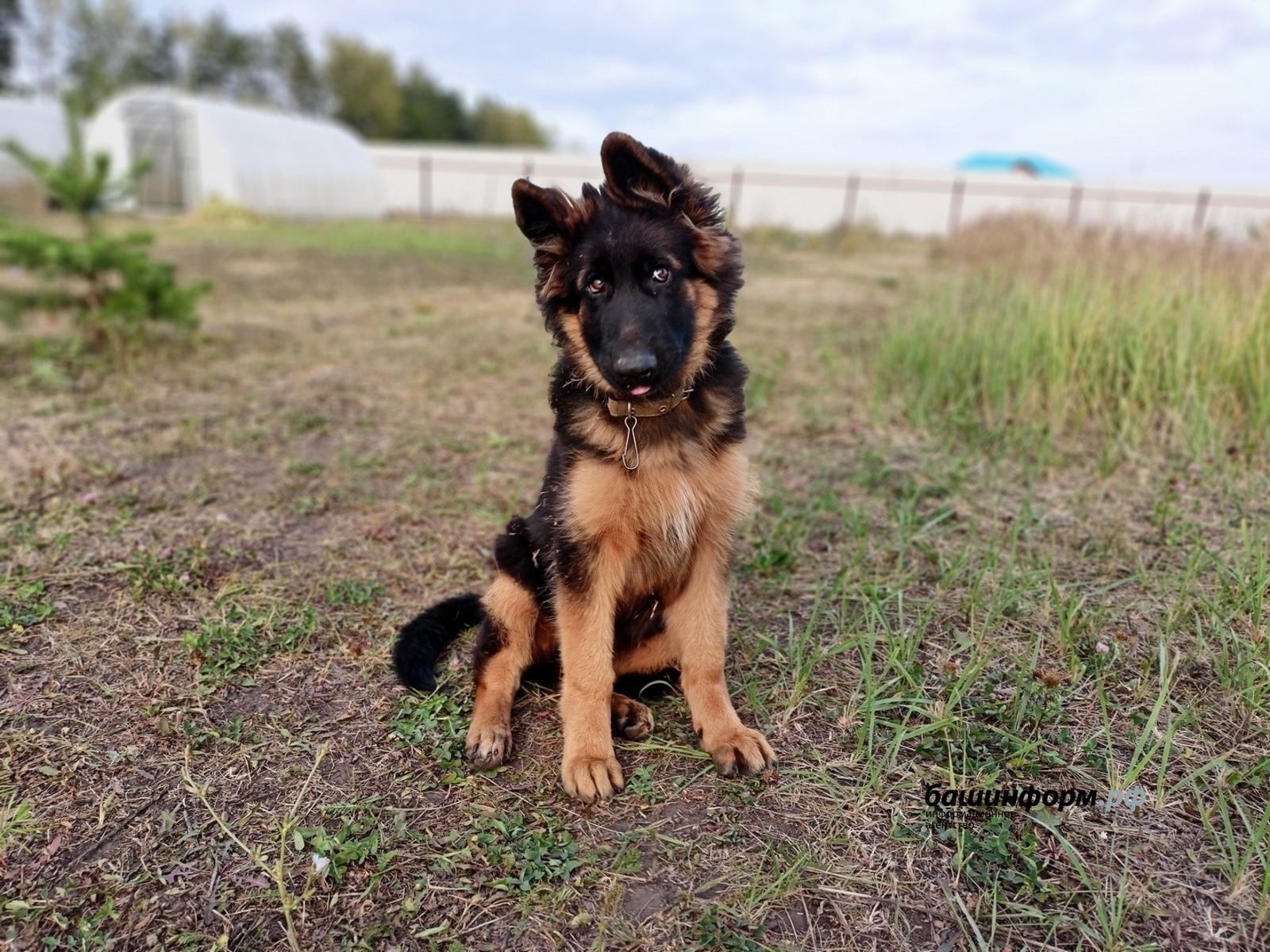 ИА "Башинформ" архив