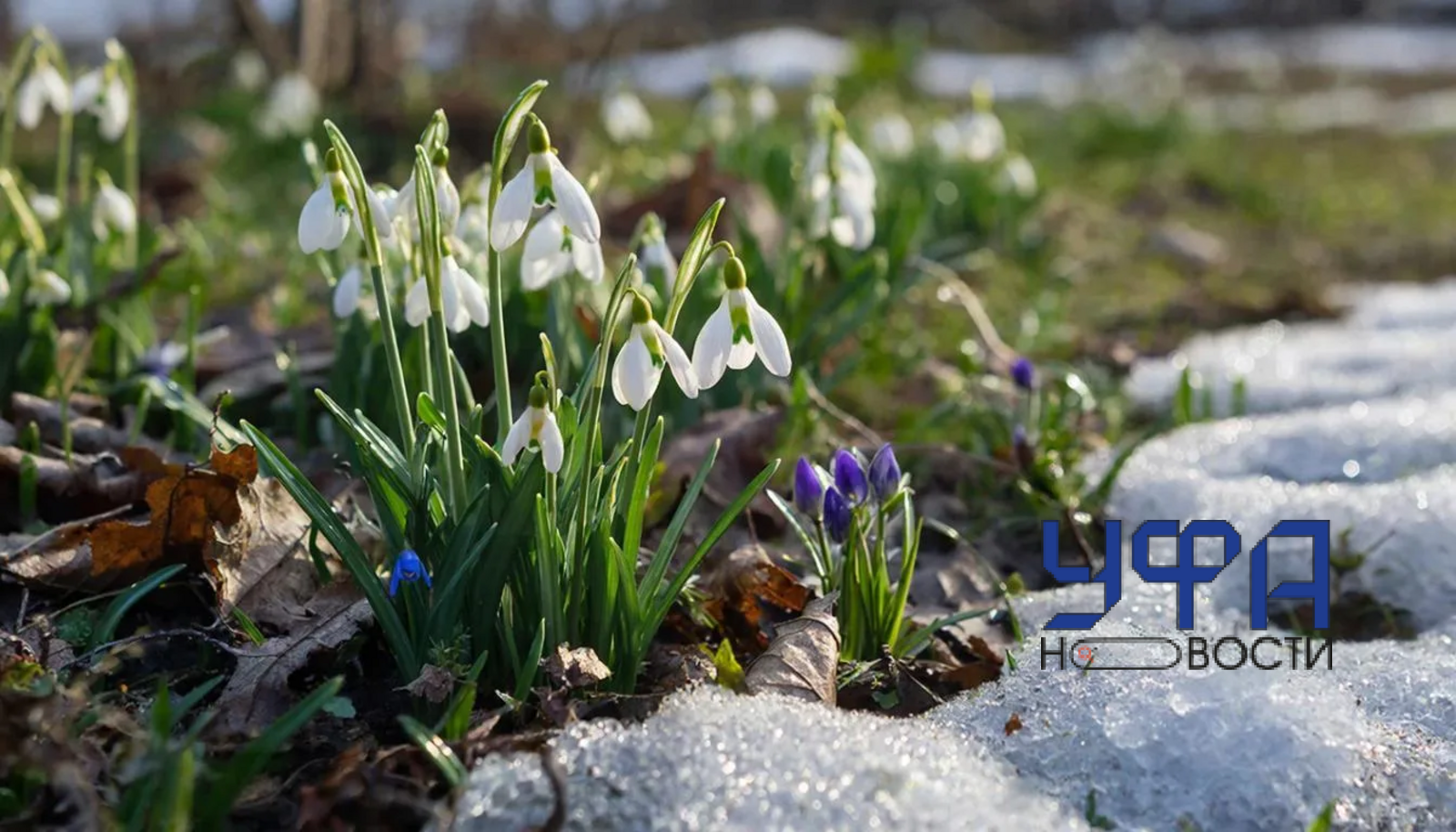 Сгенерировано нейросетью ГигаЧат