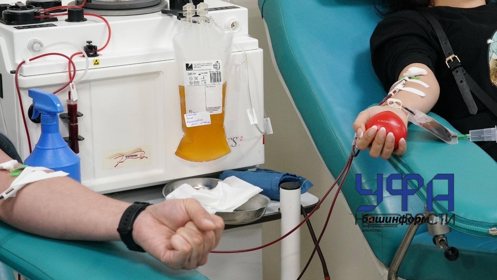 Врач из Уфы объяснила, чем полезна донация крови