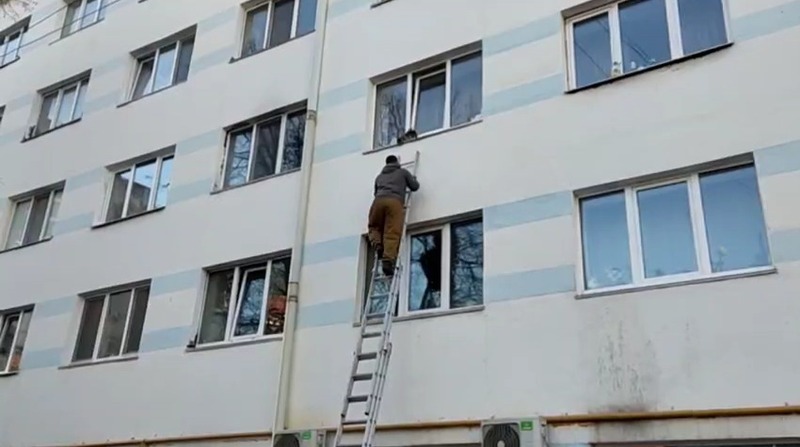 В Уфе развернули спецоперацию по спасению кота