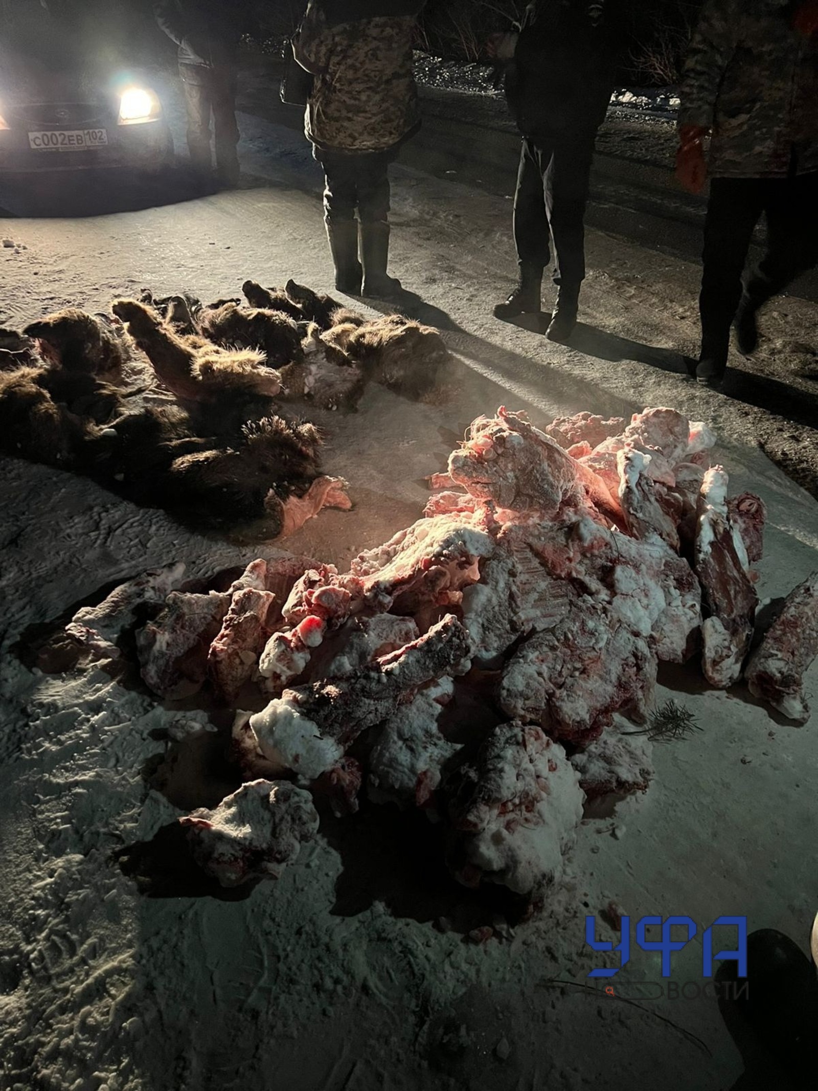 Фото: социальные сети