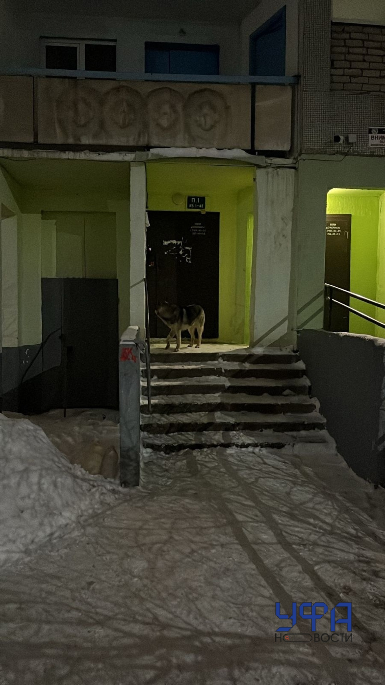 Фото: социальные сети