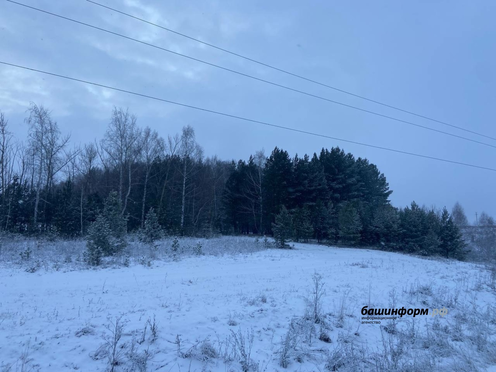 ИА "Башинформ" архив