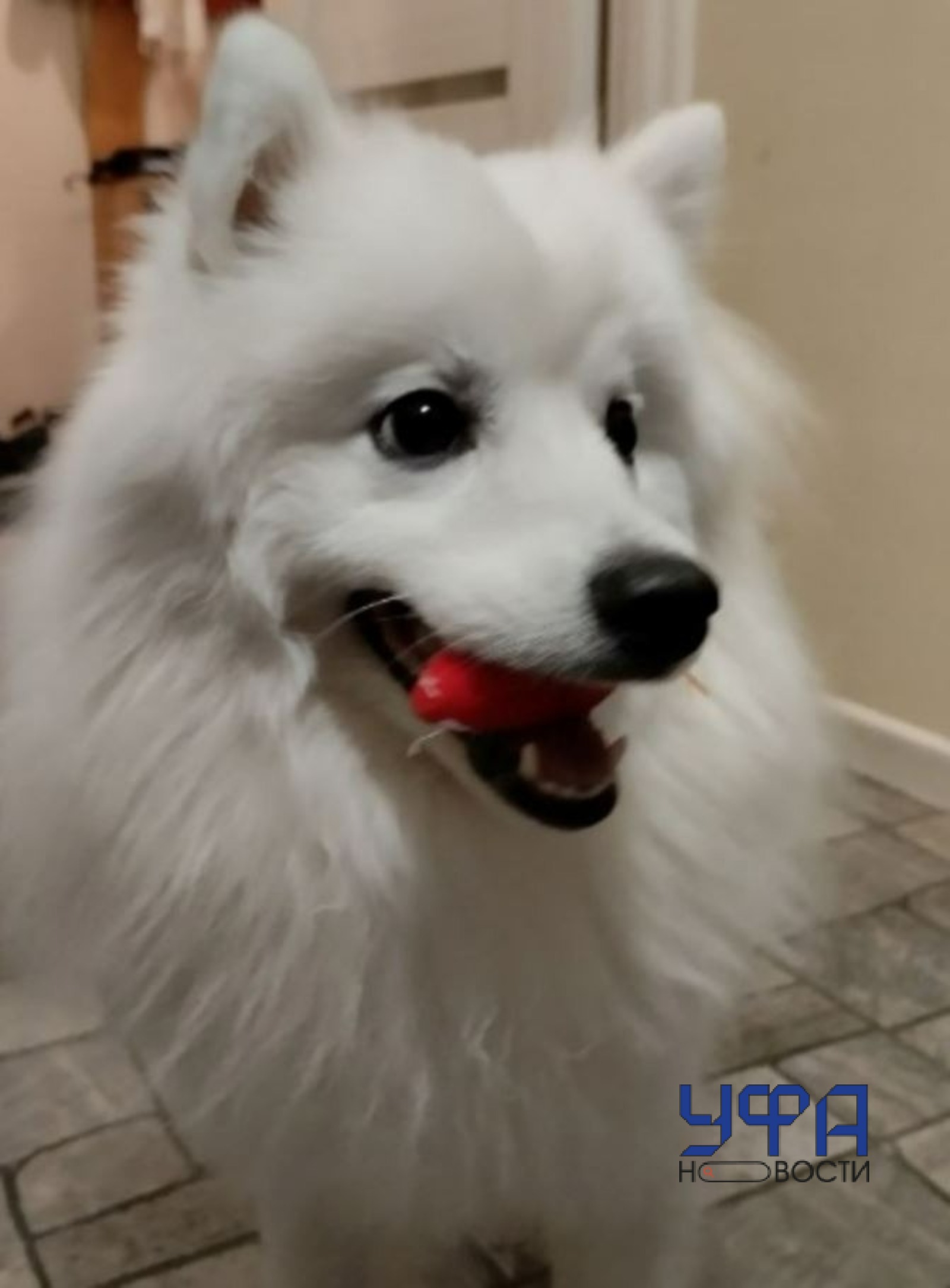 Ufanovosti архив