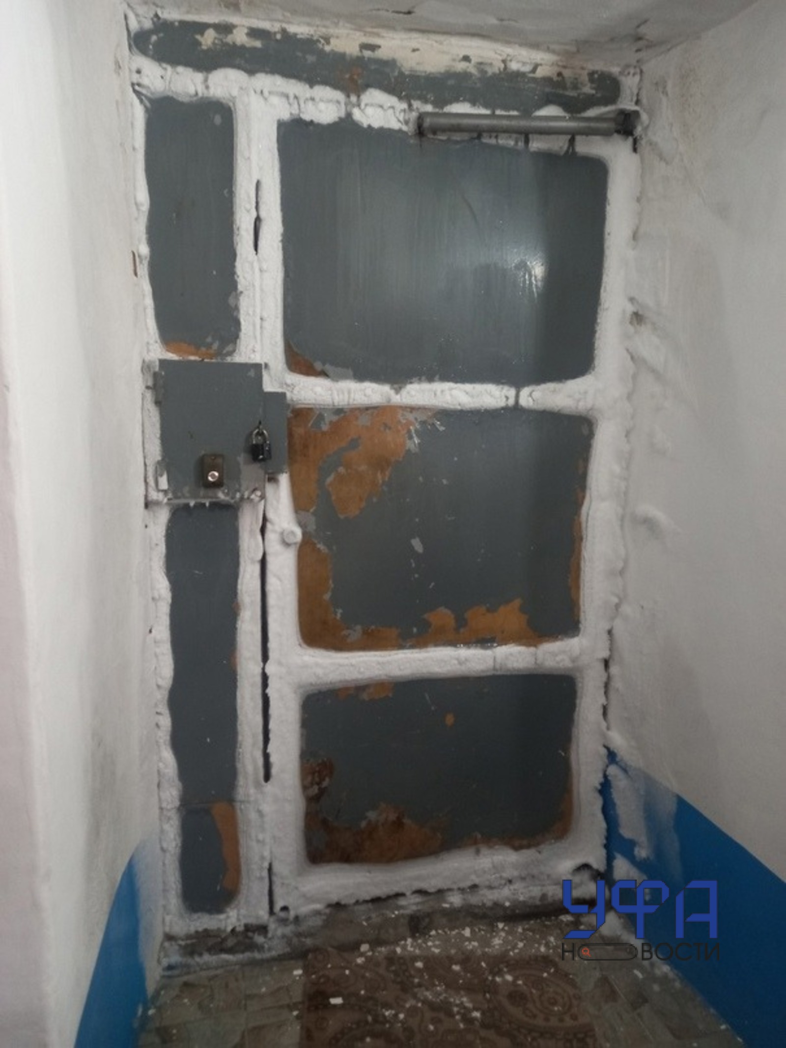 Фото: социальные сети