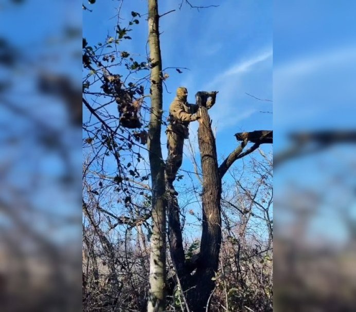 Добровольцы одного из башкирских батальонов спасли кота