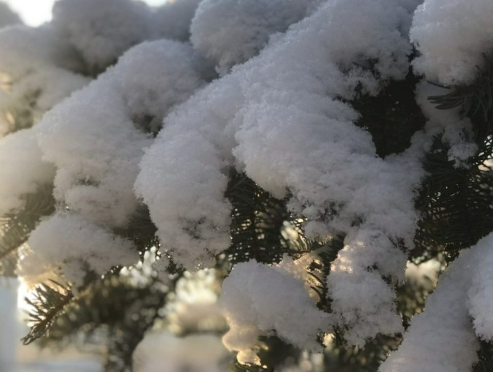 Ufanovosti.ru архив