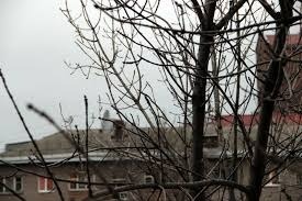 МЧС Башкирии объявило штормовое предупреждение