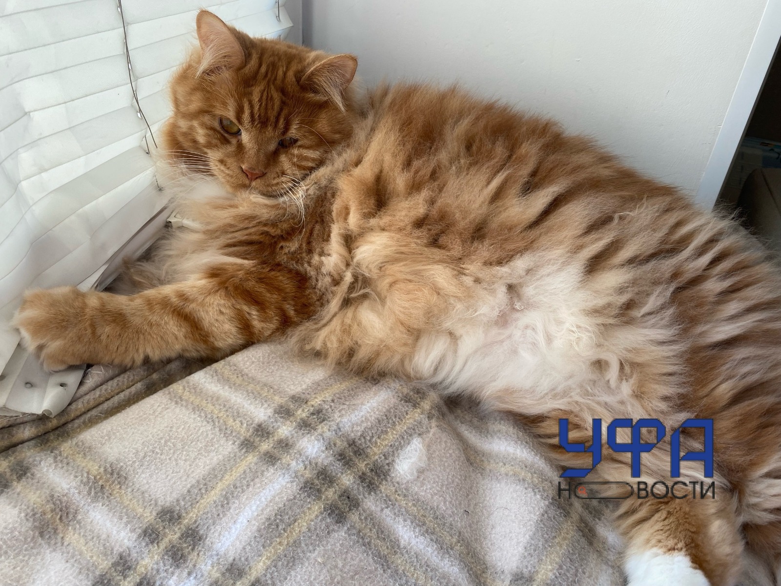 Автор Фотобанк Ufanovosti.ru