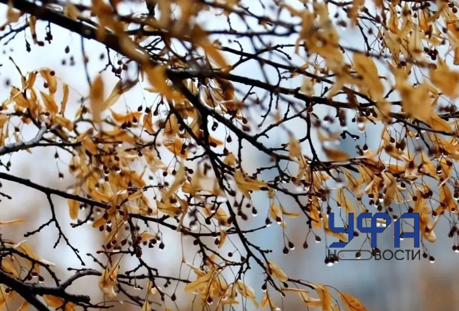 УфаНовости архив