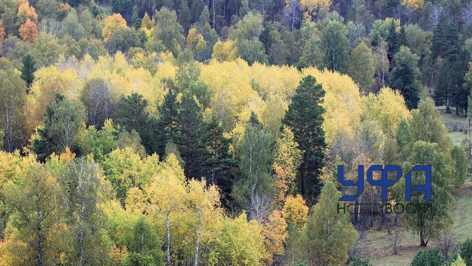 Фотобанк UfaNovosti.ru