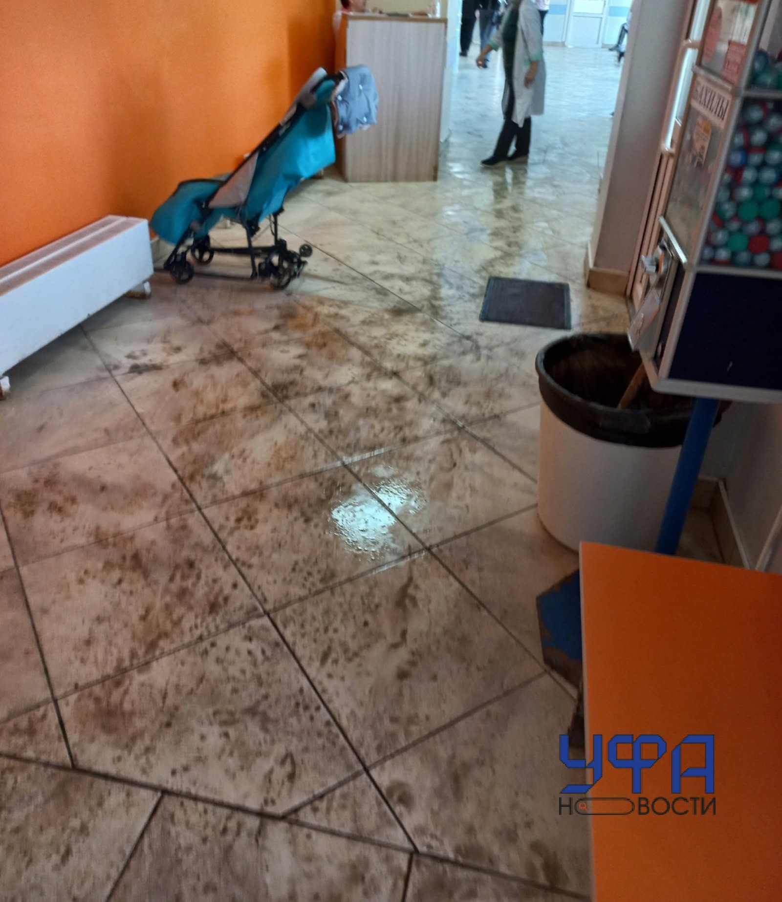 Фото: социальные сети