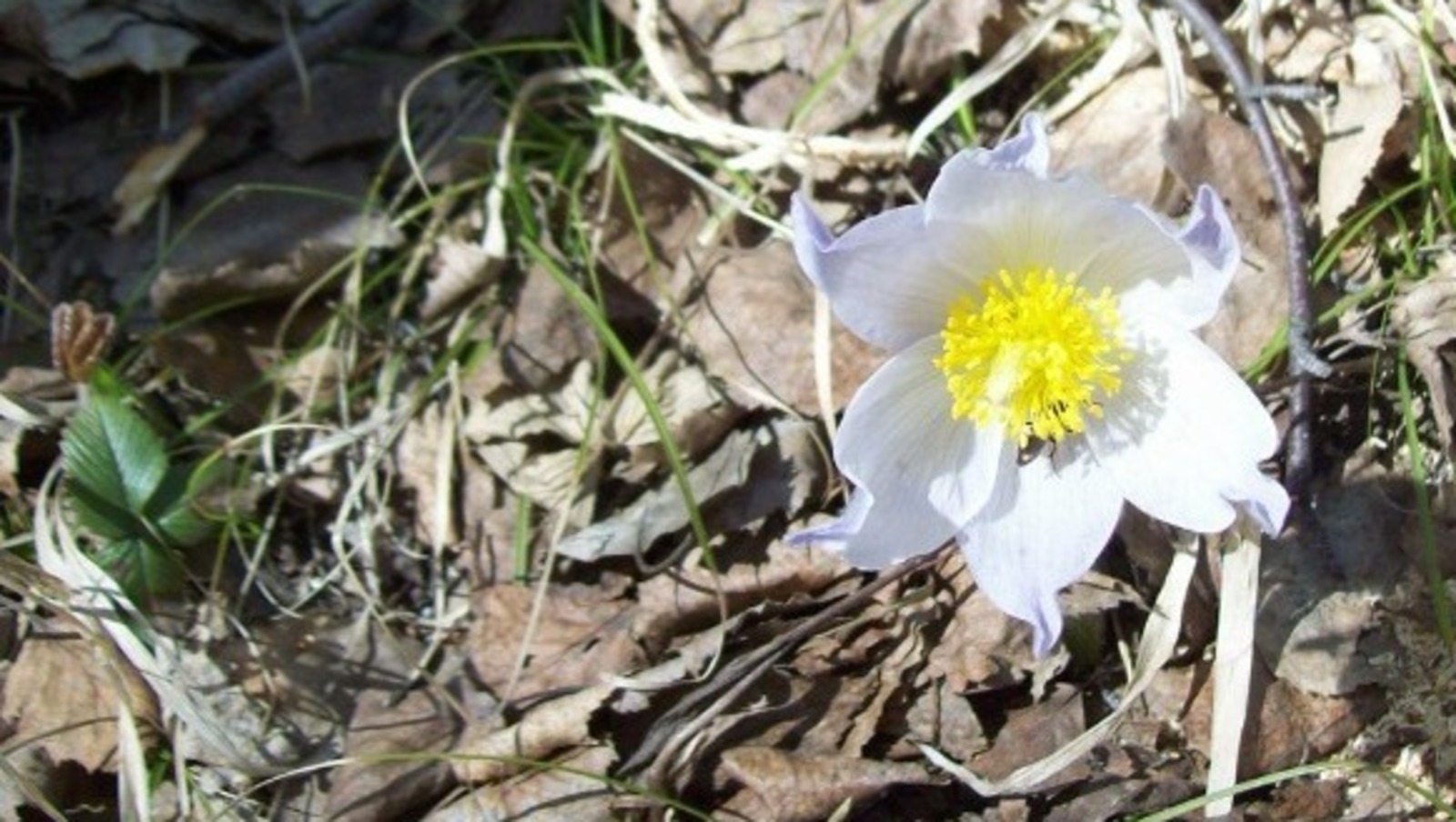 фотобанк Ufanovosti.ru