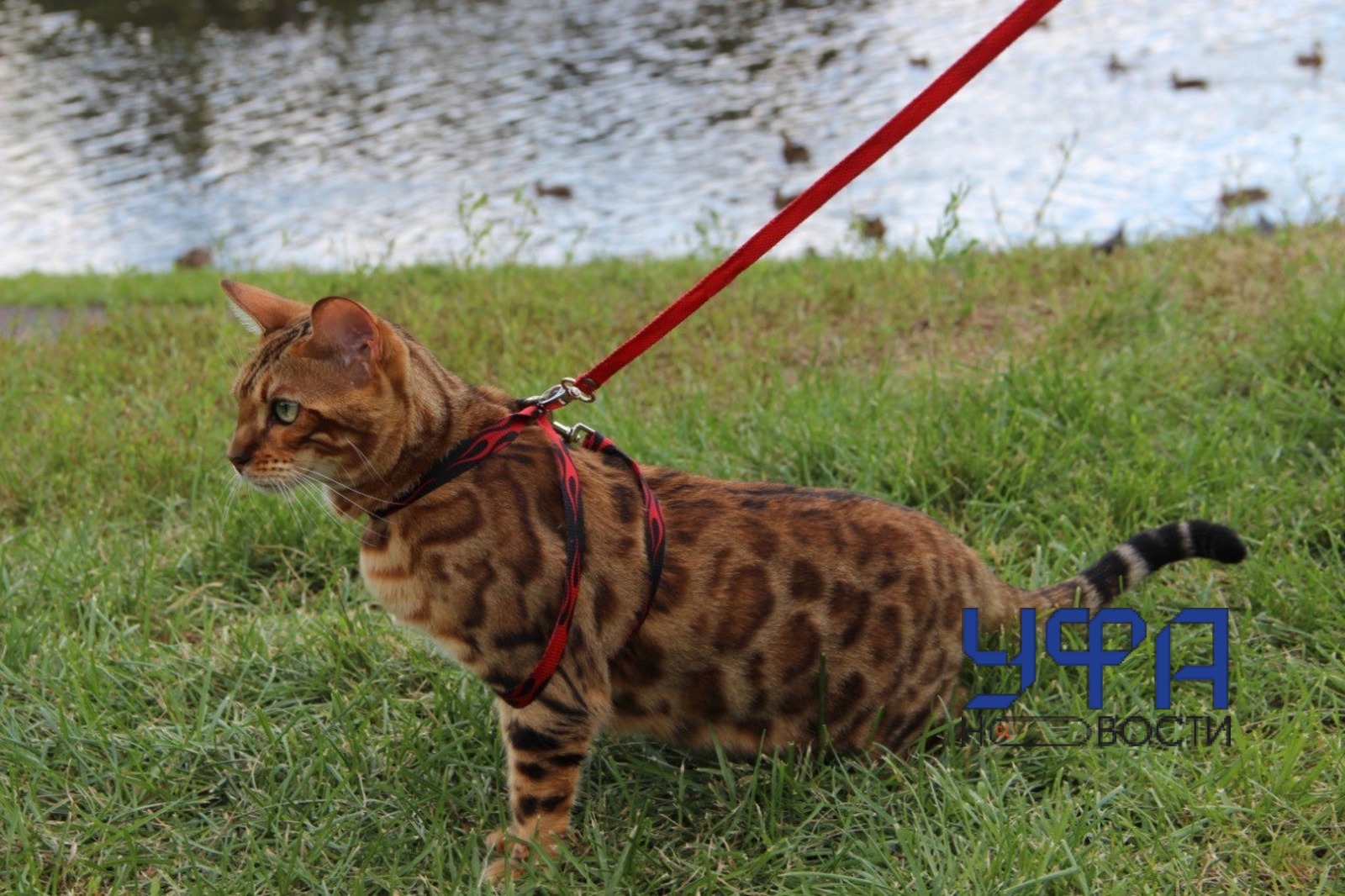 Ксения Калинина   ИА «Башинформ»