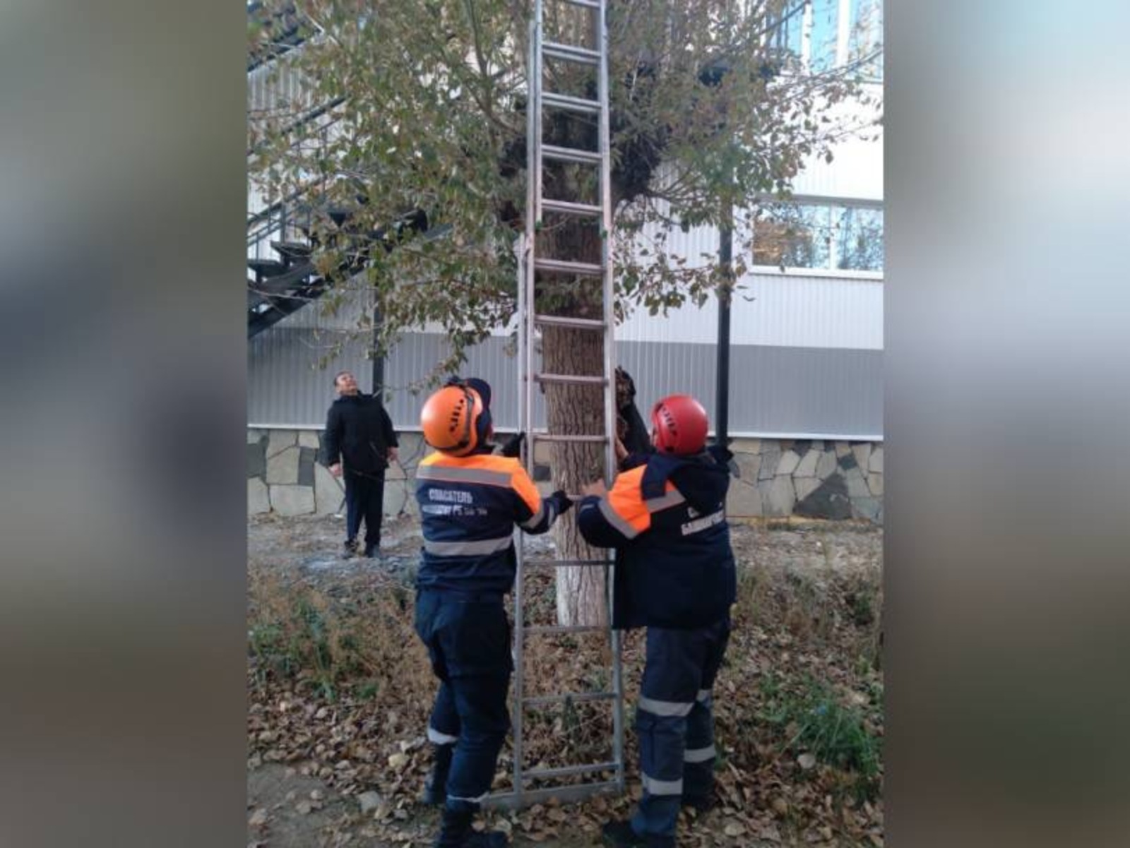 Фото: ГК РБ по ЧС