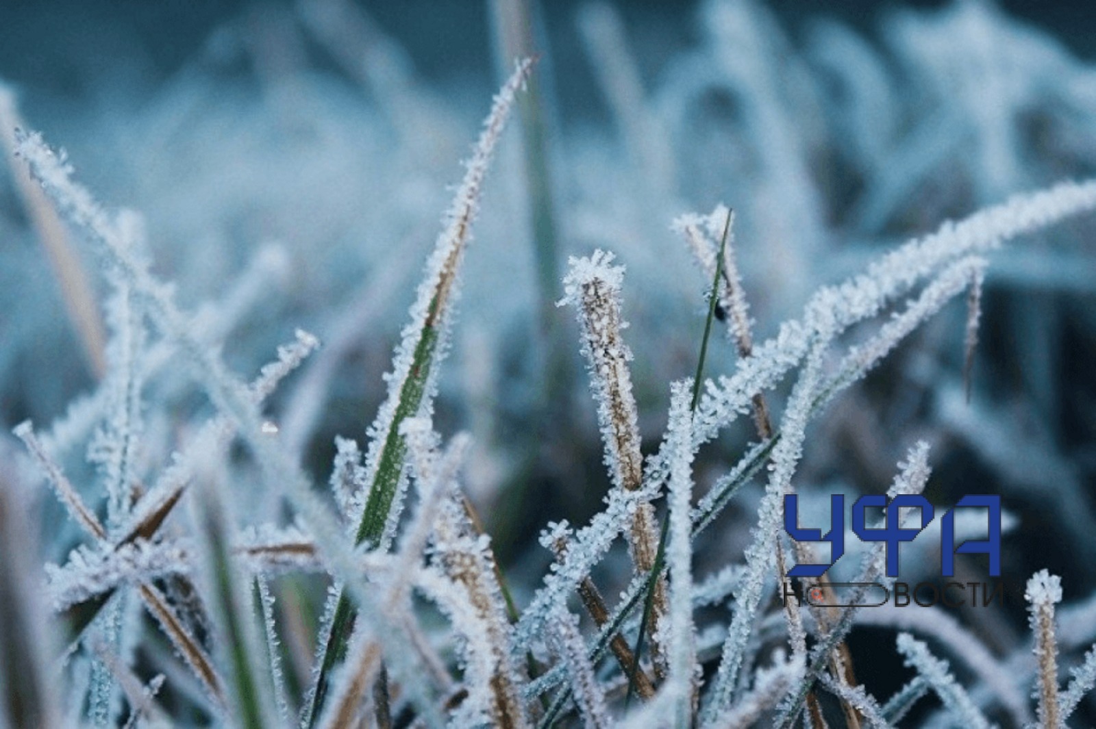 архив  Ufanovosti.ru