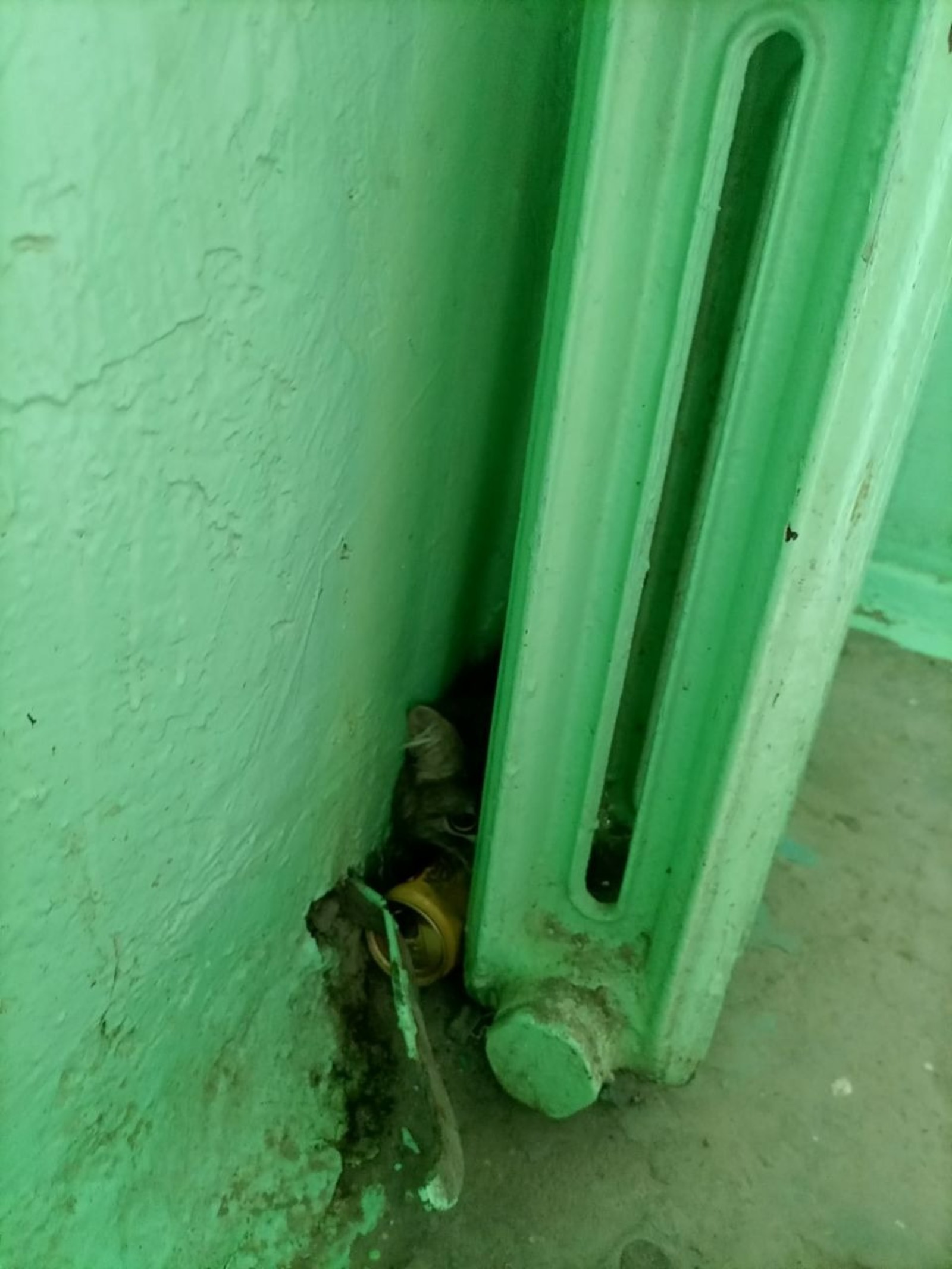 пресс-служба УГЗ г. Уфы