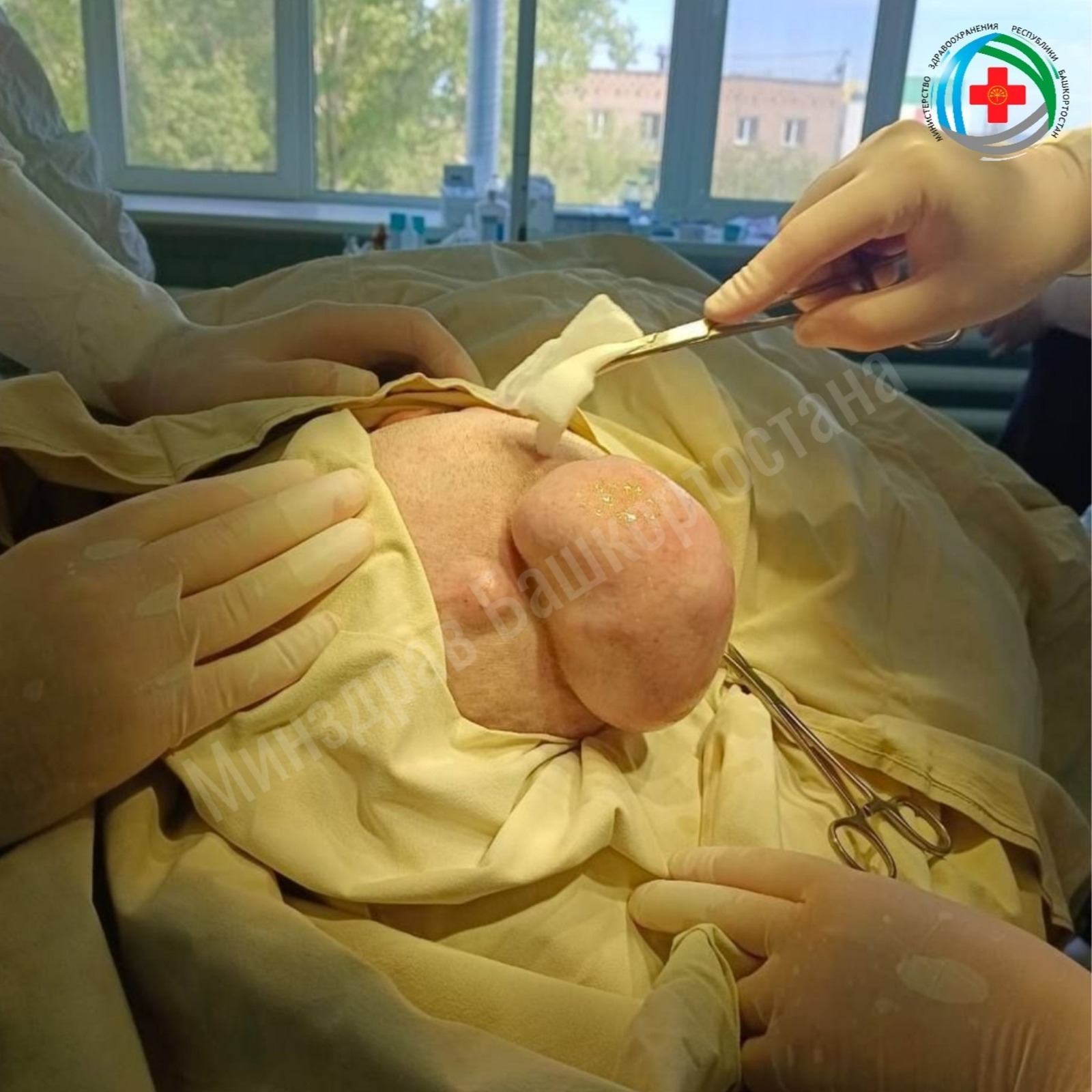 Минздрав РБ Официальный ТГ-канал