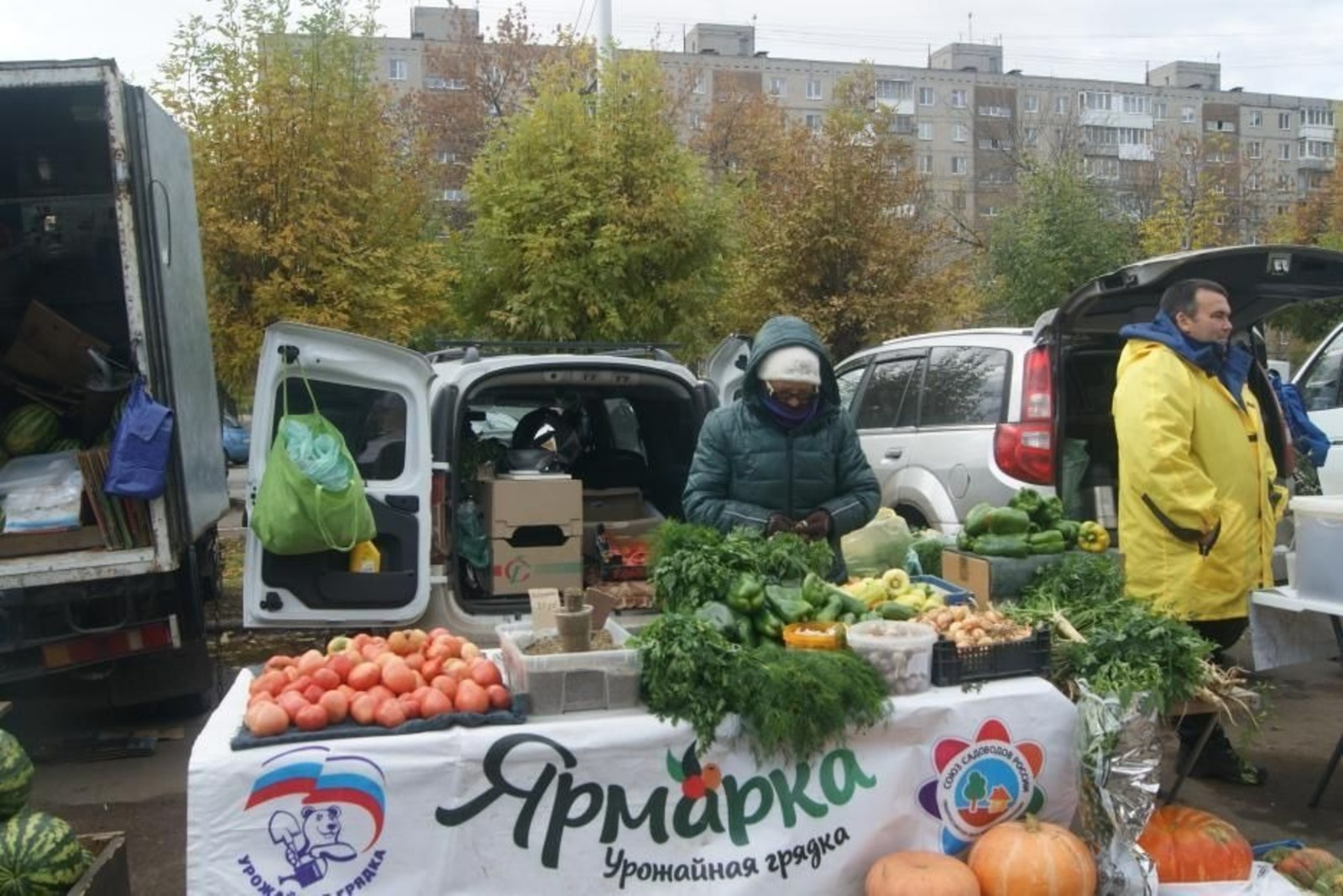 В районах и городах Башкирии в выходные пройдут сельхозярмарки