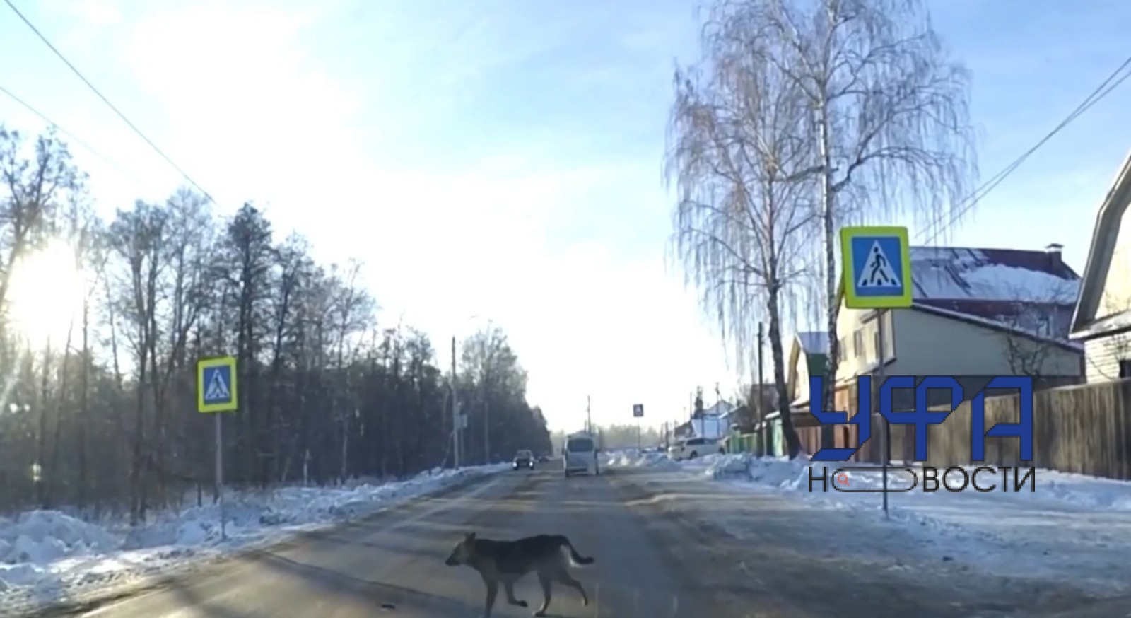Фото: социальные сети