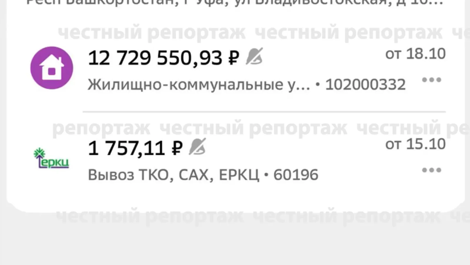 Честный репортаж Макс-канал