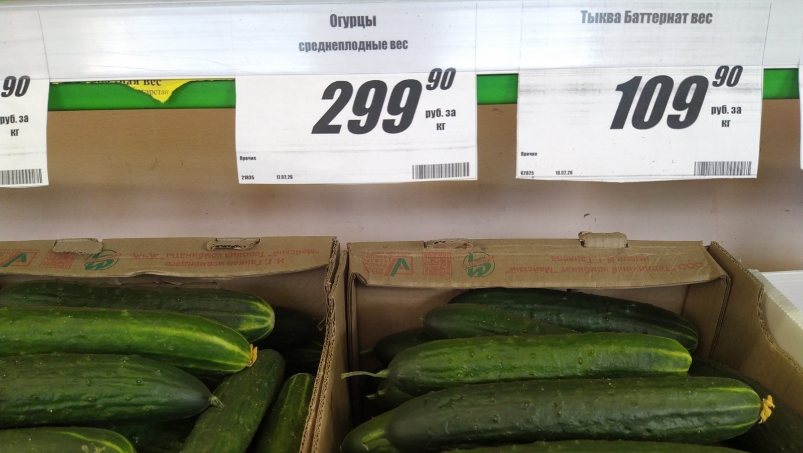 ИА «Башинформ» Фотобанк