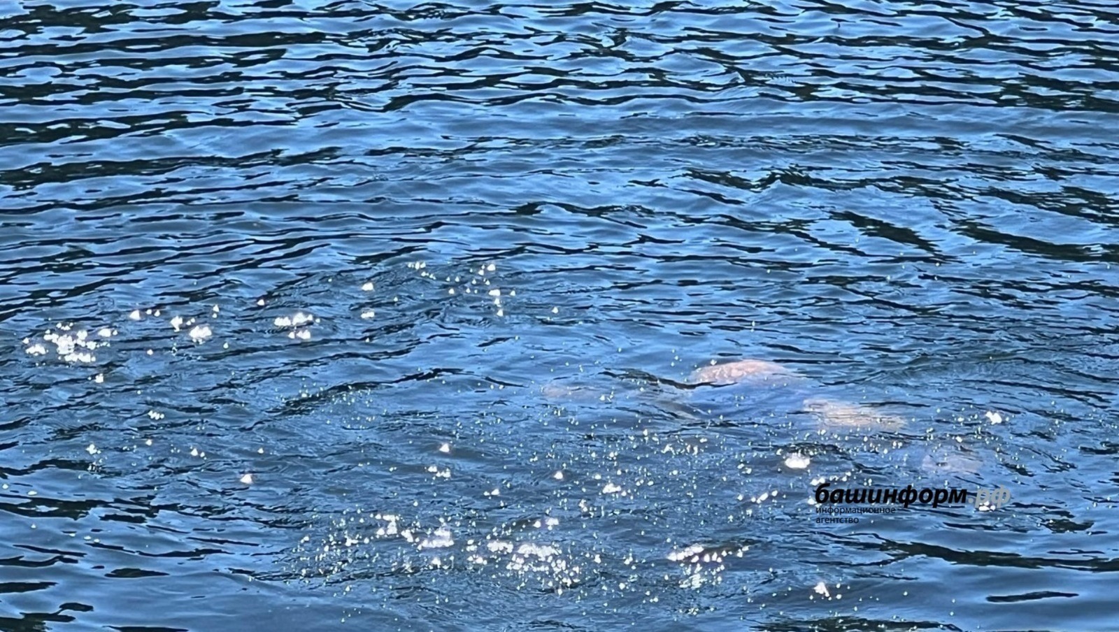 В Башкирии водолазы ищут двух утопленников 