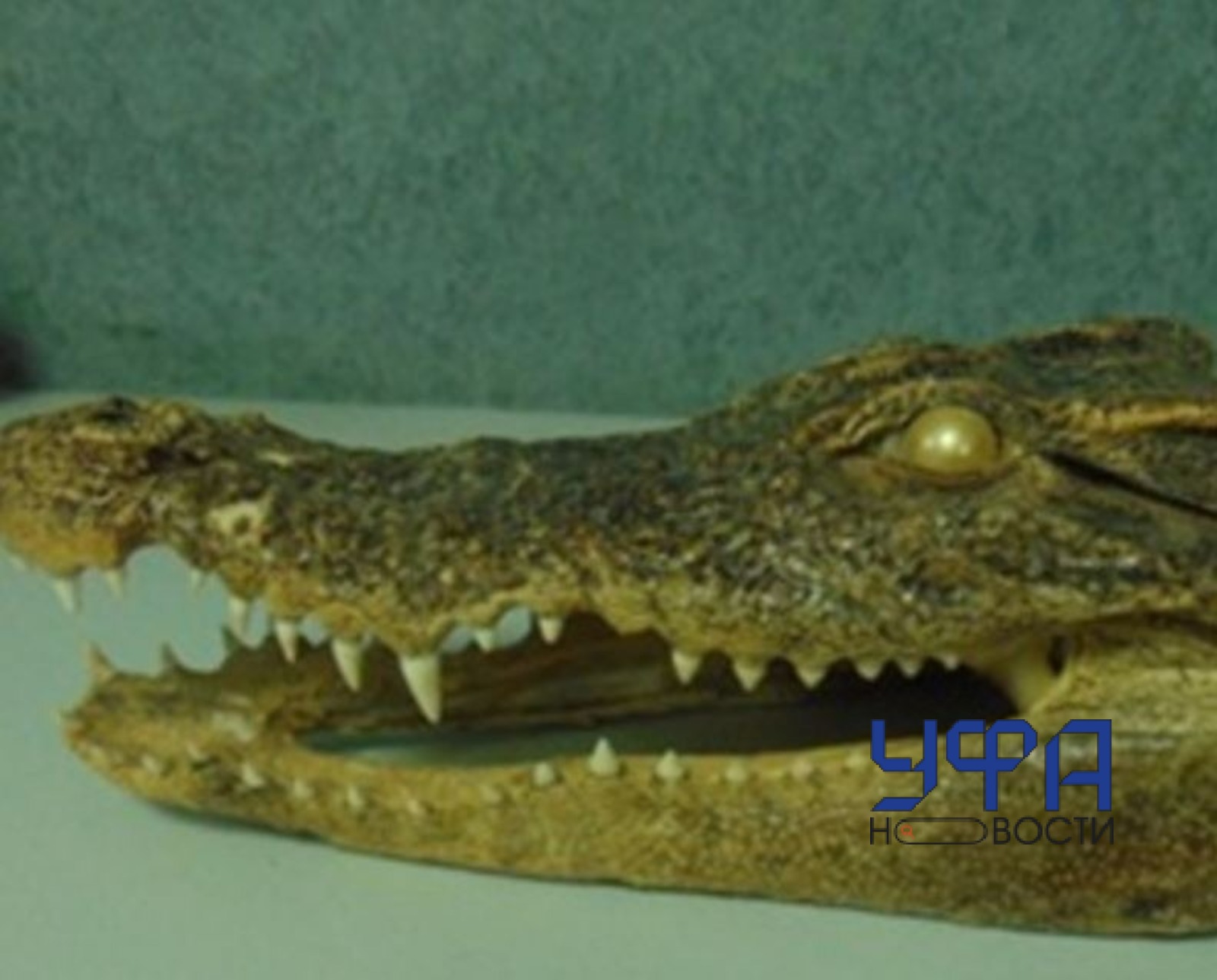 Башкортостанская таможня пресс-служба Башкортостанской таможни