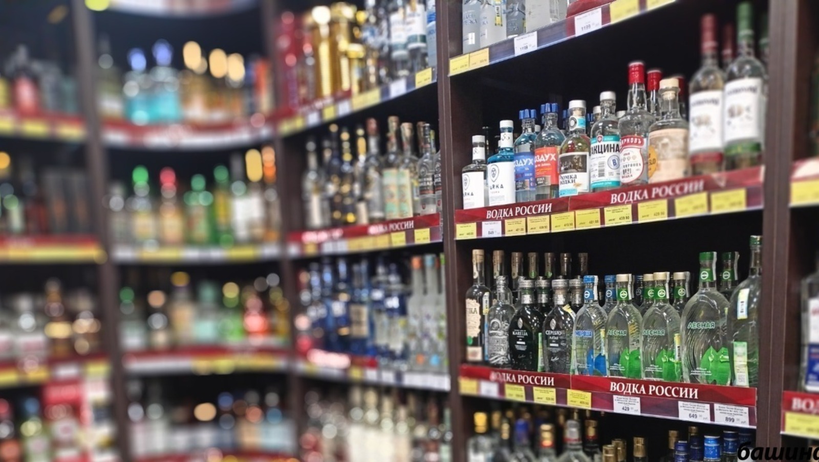 архив Ufanovosti.ru архив Ufanovosti.ru