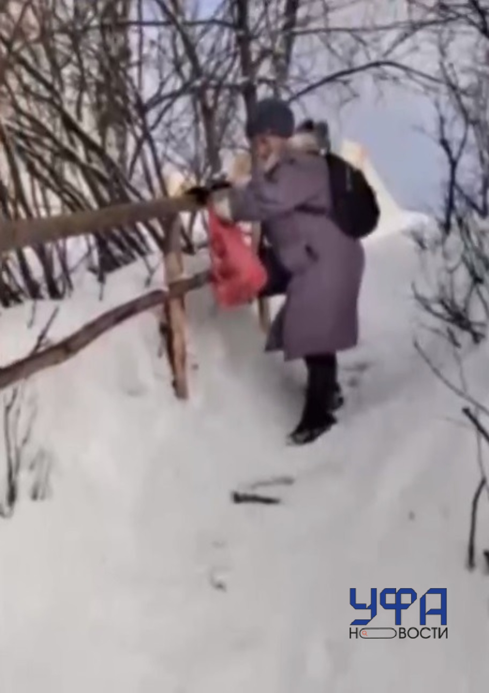 Фото: скриншот видео