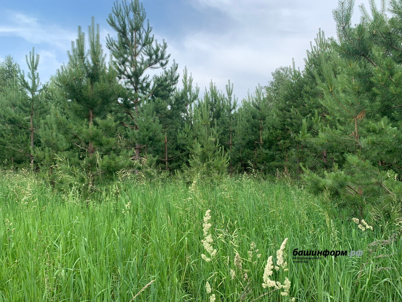 Фото: ИА "Башинформ"