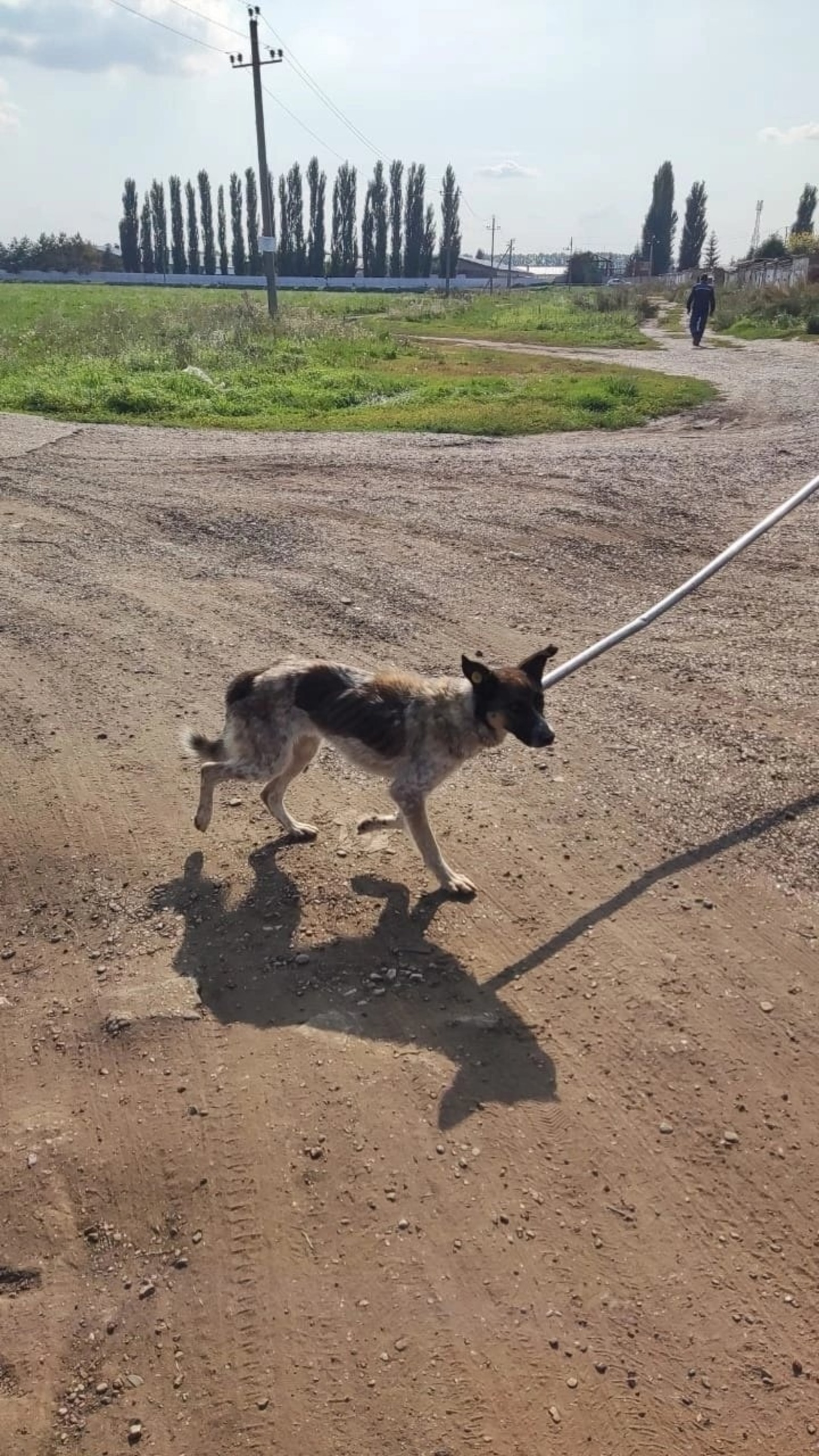 соцсети Алины Ямалиевой