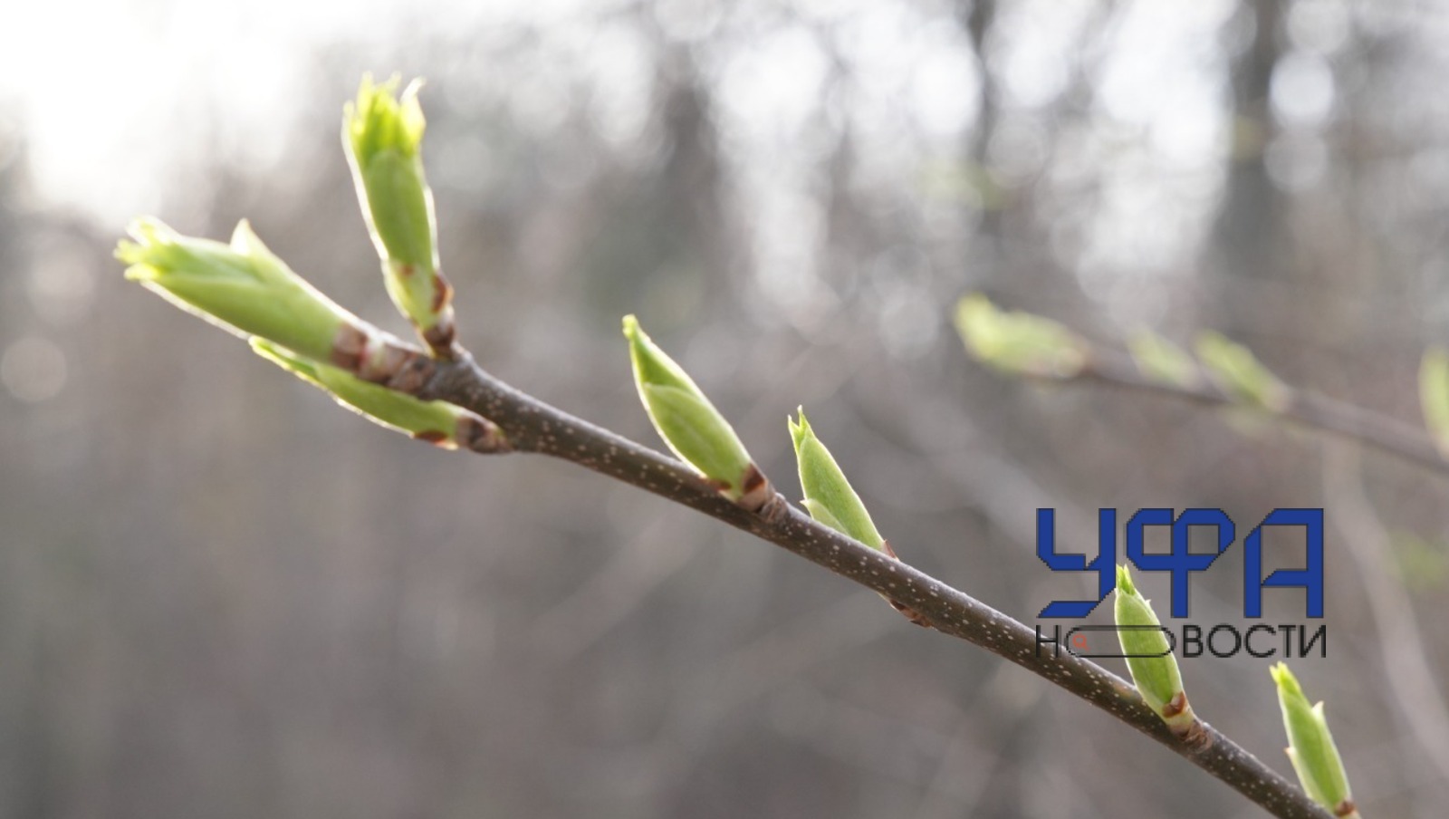 фотобанк Ufanovosti.ru