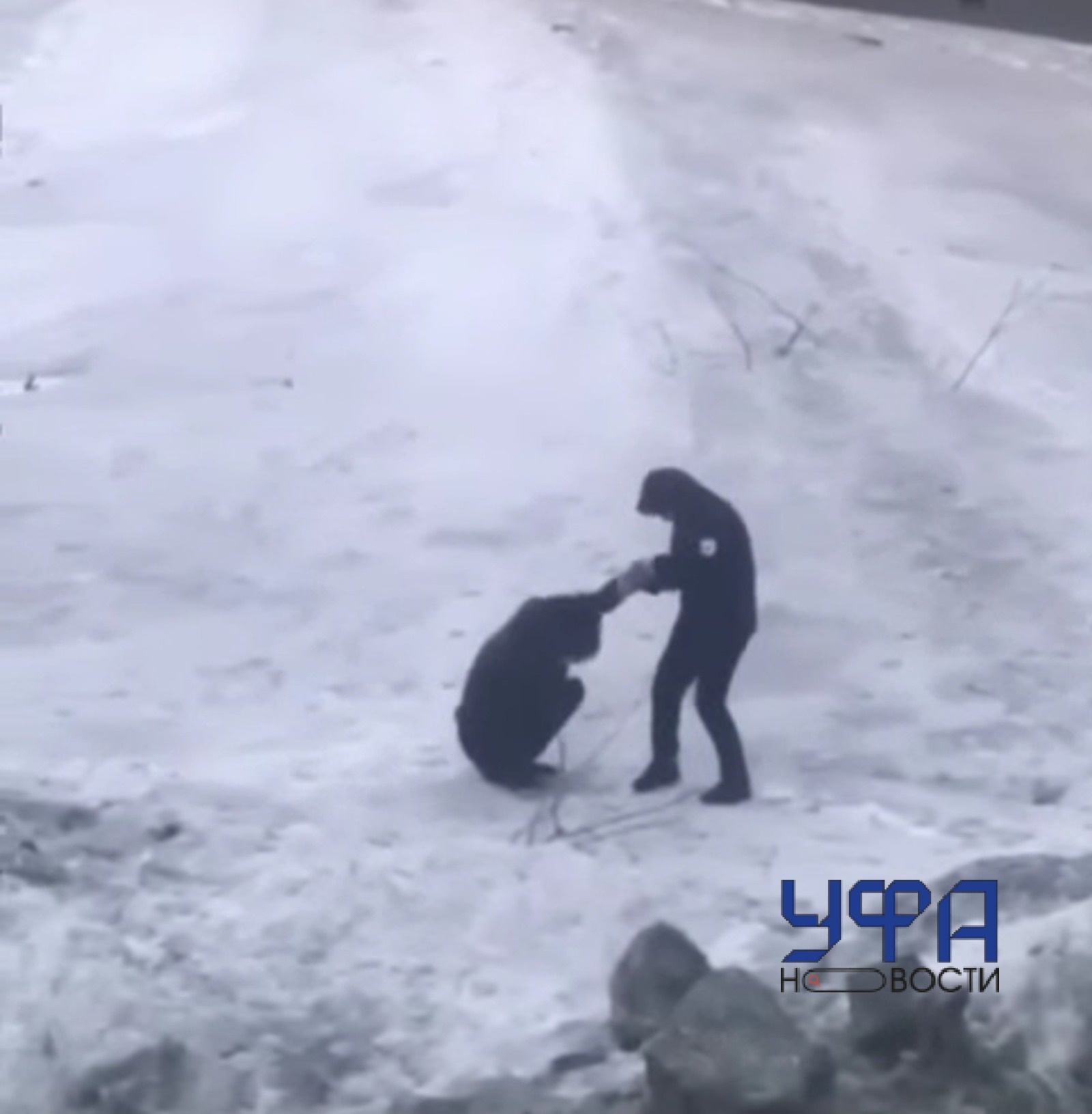 Фото: социальные сети