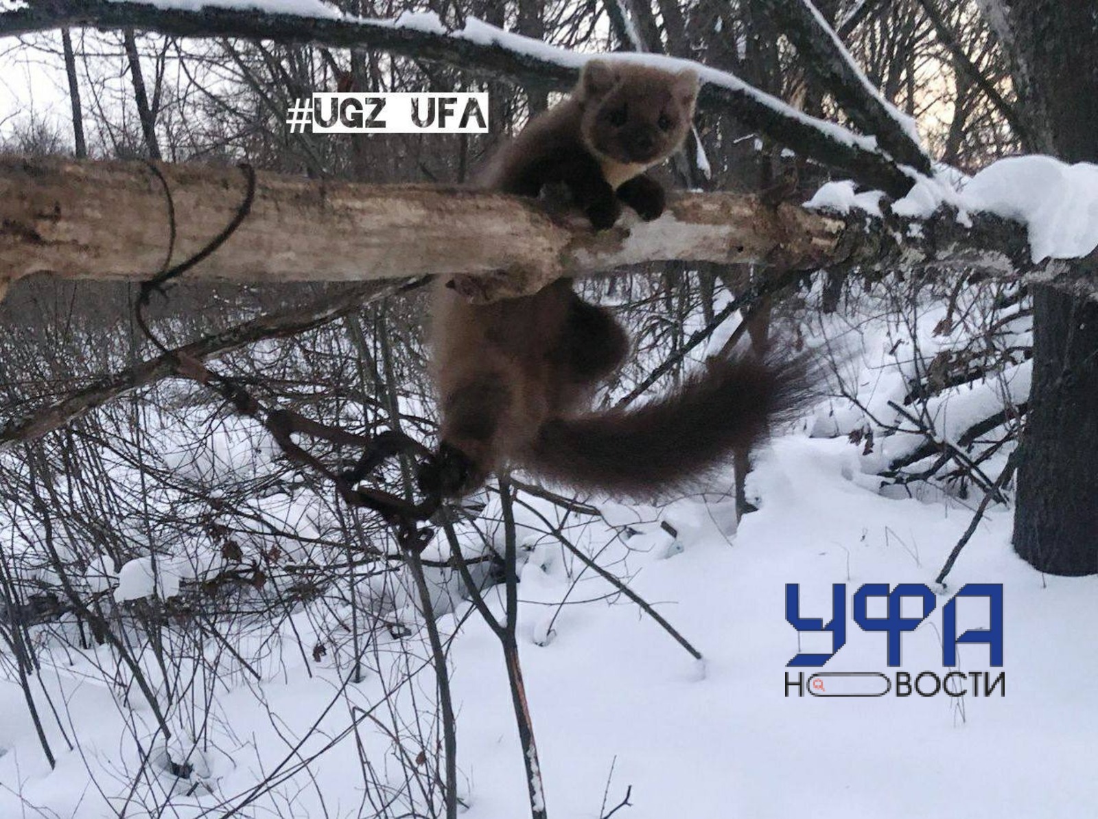 Фото: социальные сети