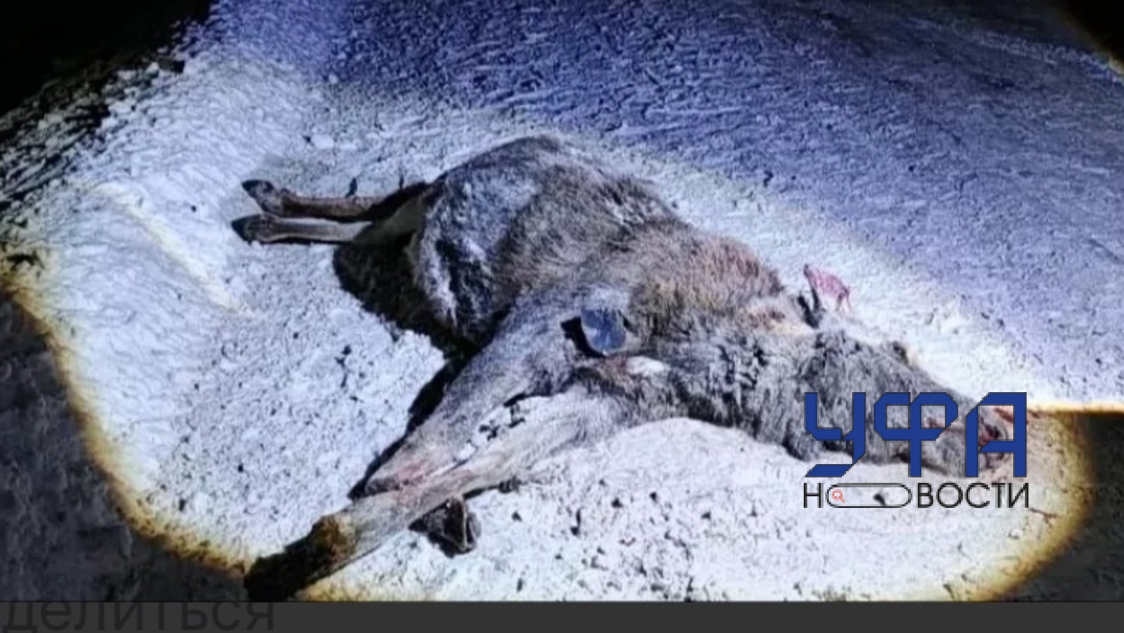 Минэкологии Башкирии архив