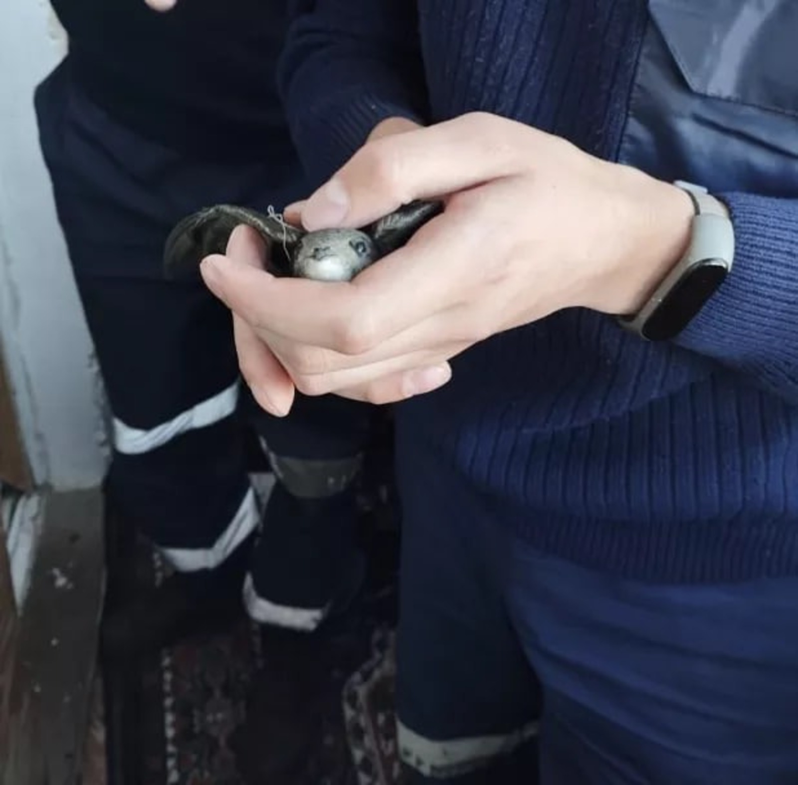 Фото: Госкомитет РБ по ЧС