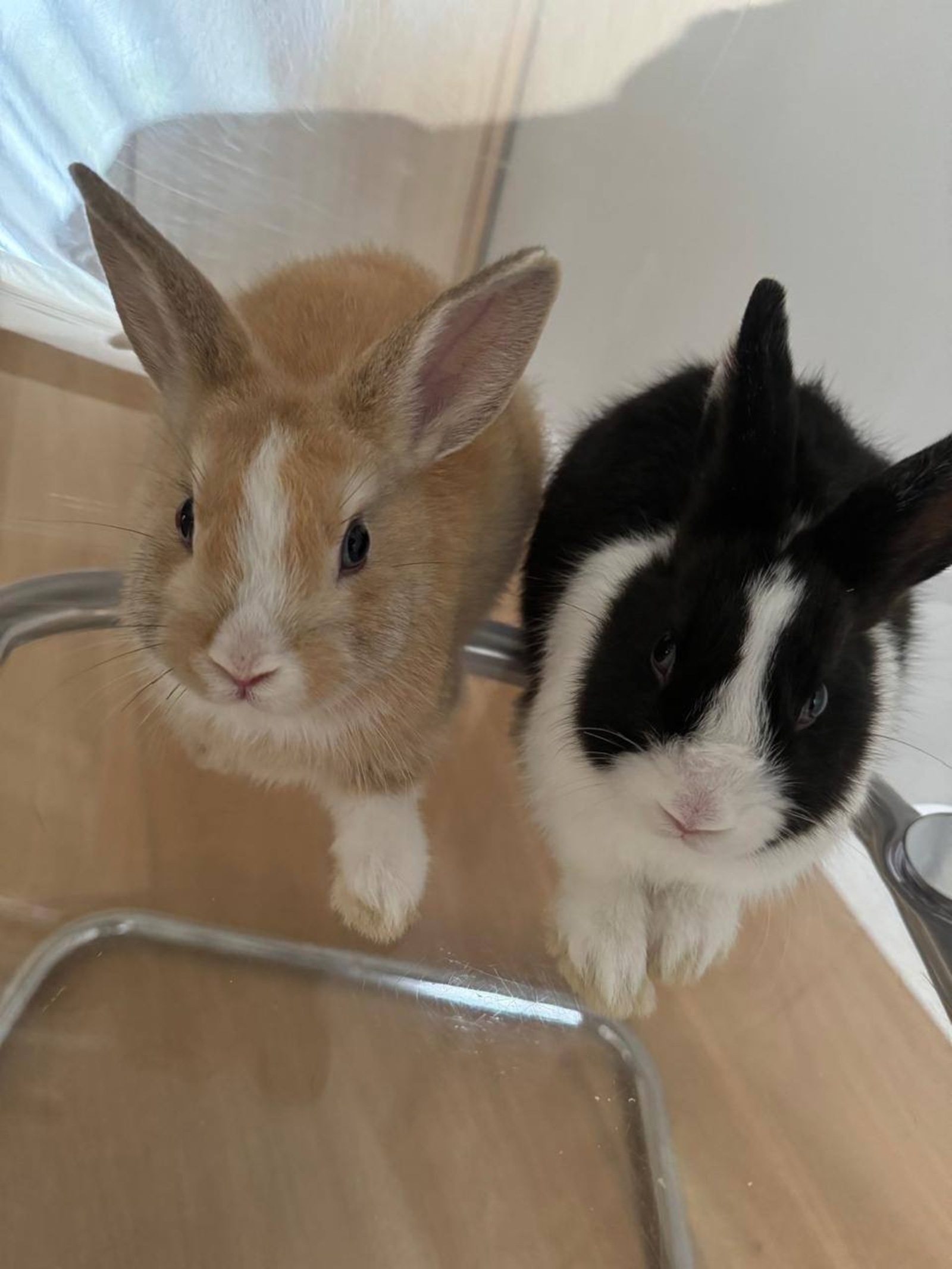 ТГ-канал Ратмира Мавлиева