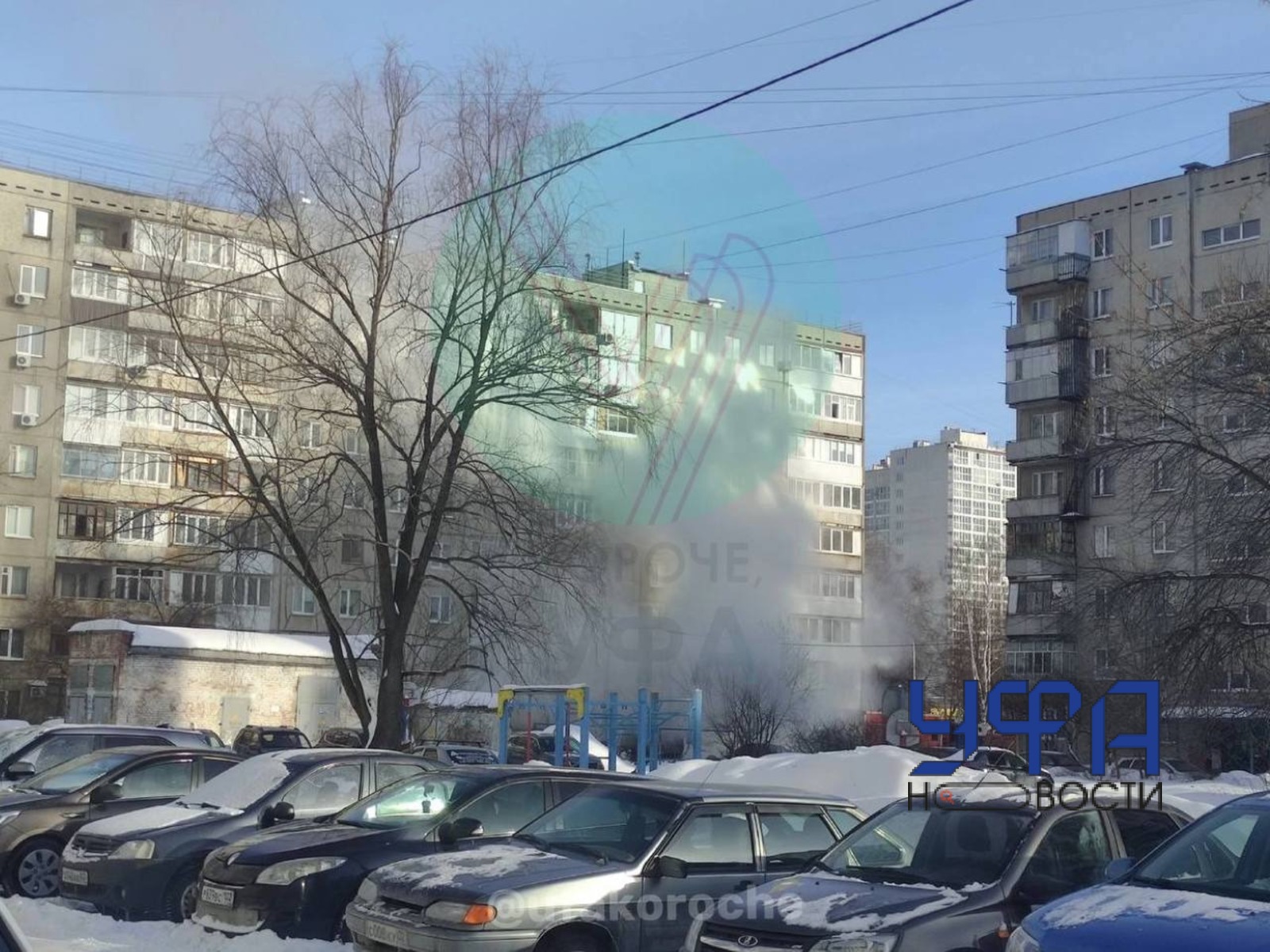 Фото: социальные сети