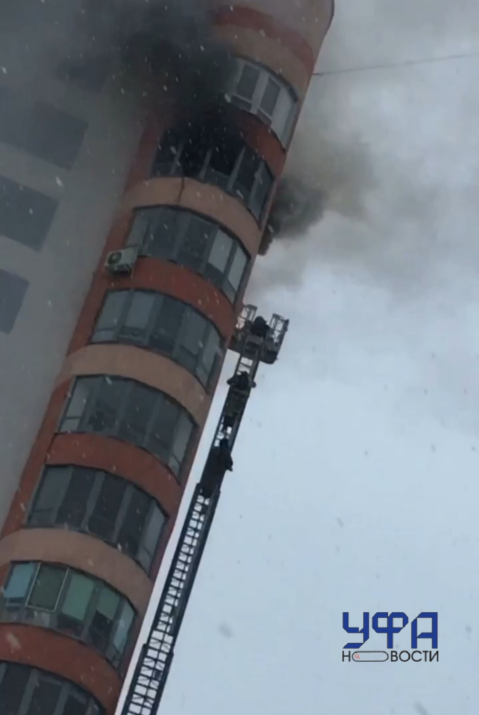 Фото: скриншот видео