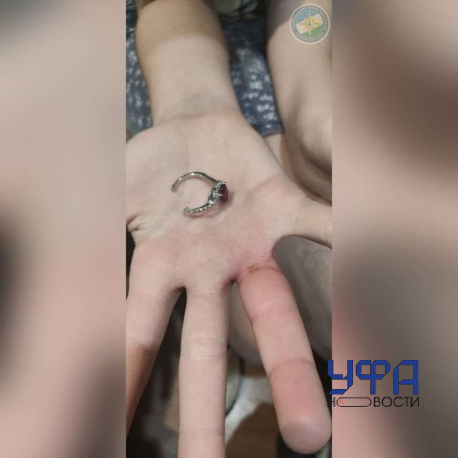Фото: социальные сети