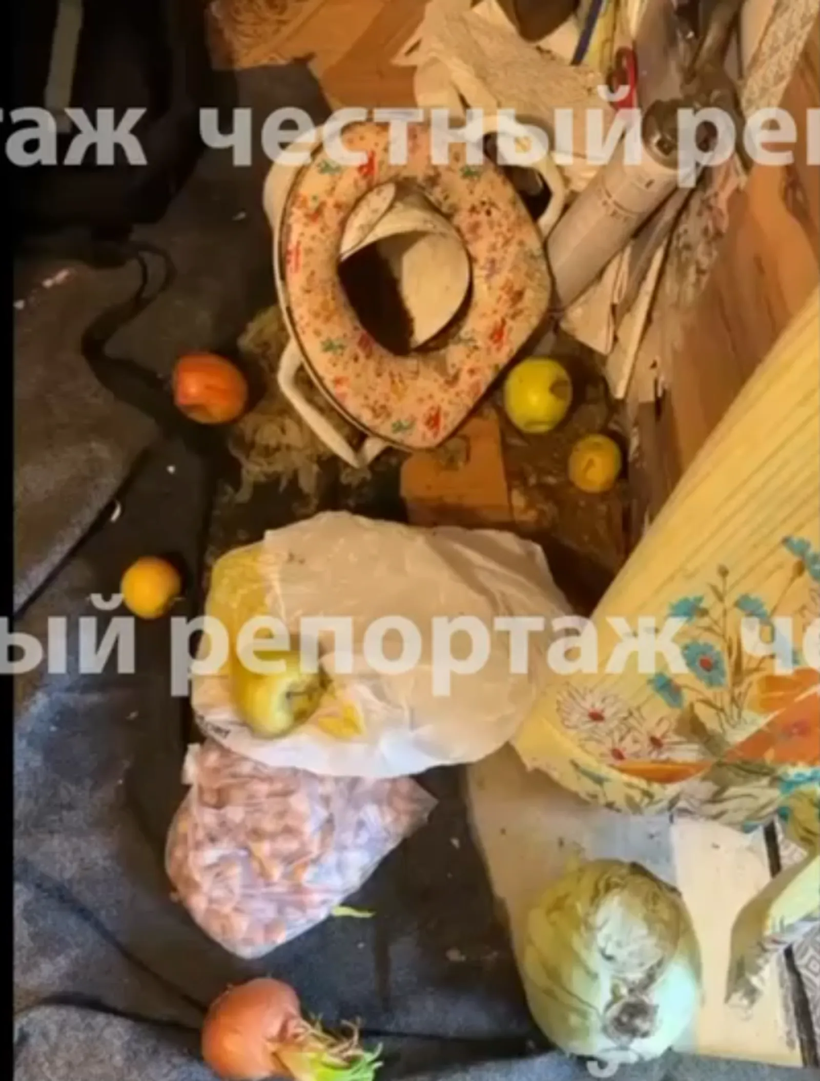 Честный репортаж Соцсети