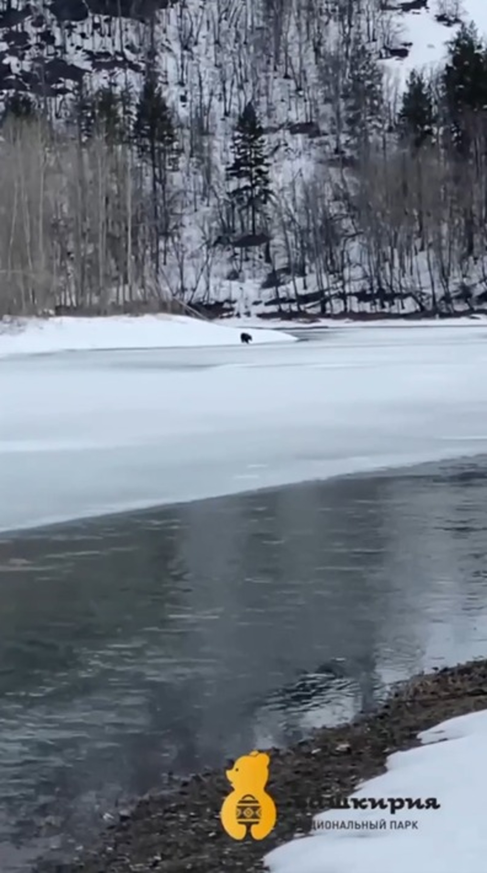 скриншот видео