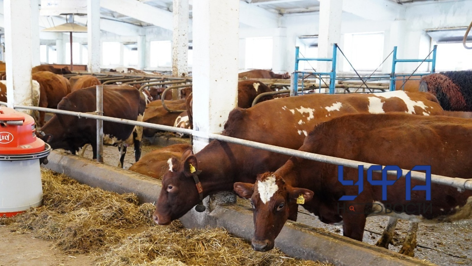 Фотобанк Ufanovosti.ru Архив