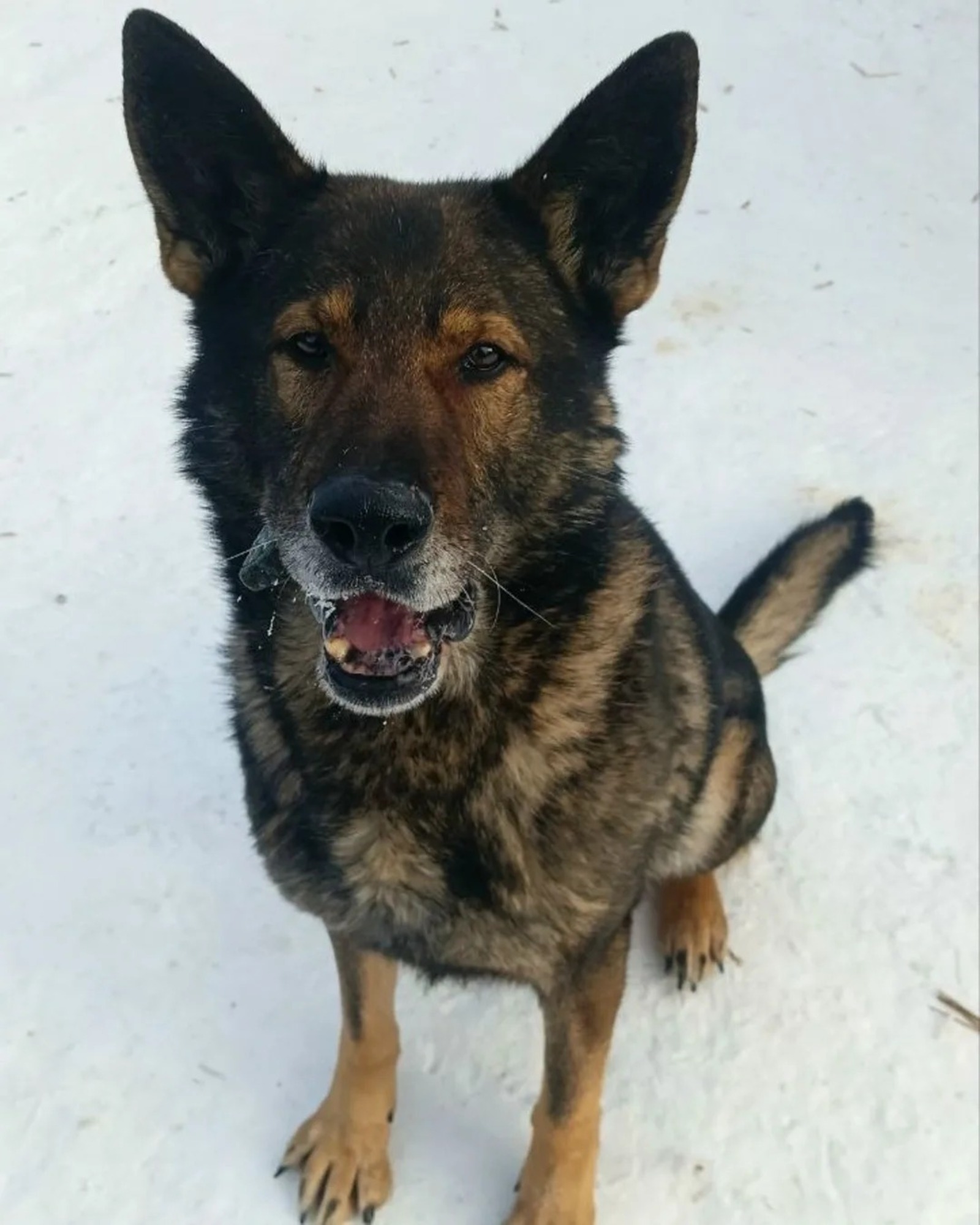 Уфимское ЛУ МВД России на транспорте Пресс-служба